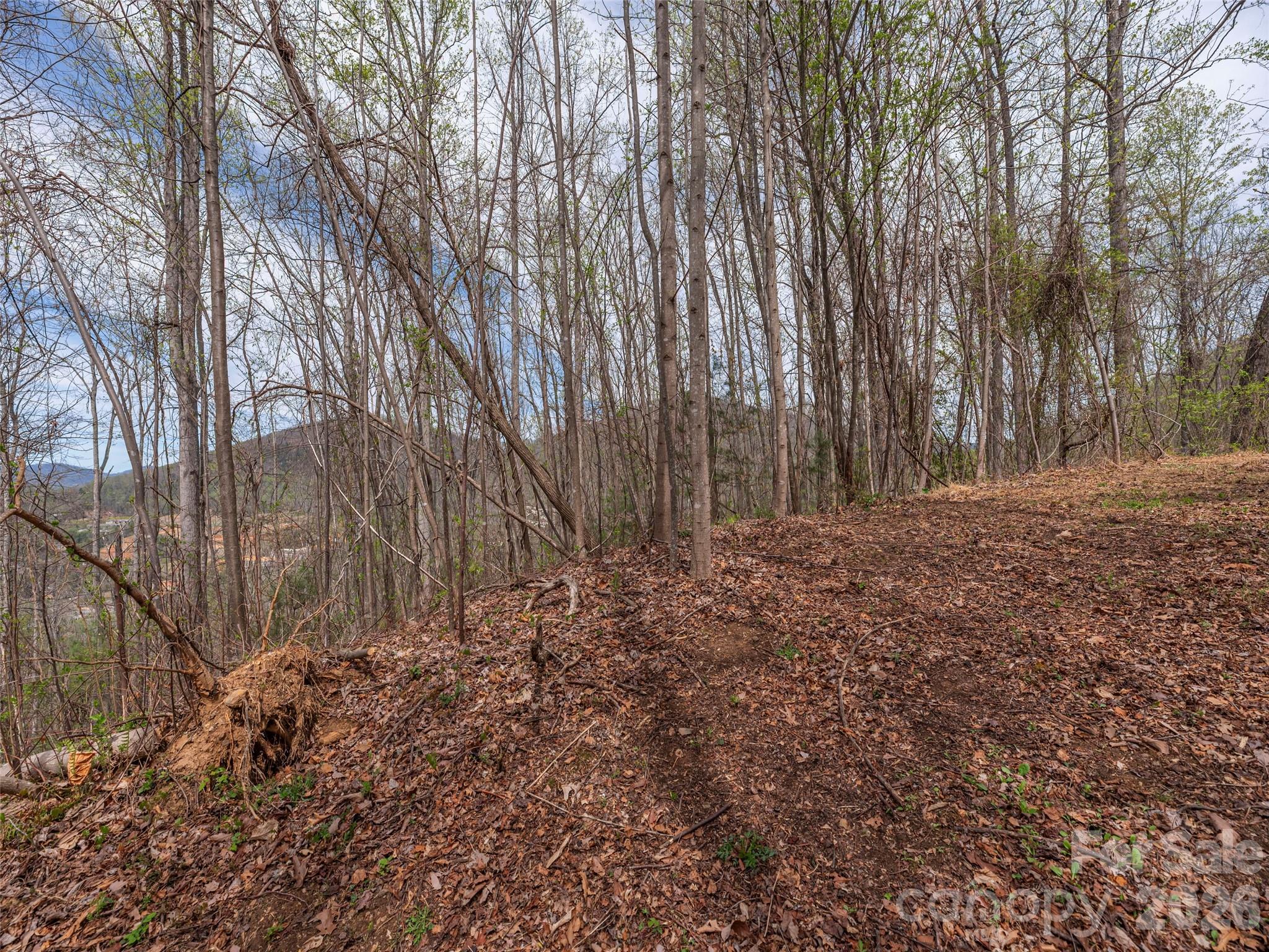 Lot at 137 & 145 Cedar Mountain Road, Asheville, photo 4 of 11