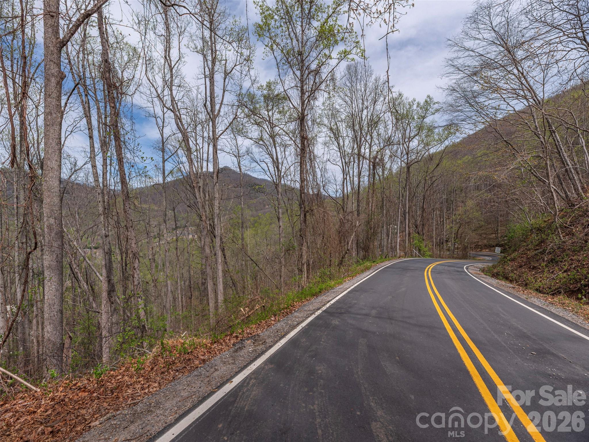 Lot at 111 & 125 Cedar Mountain Road, Asheville, photo 2 of 13