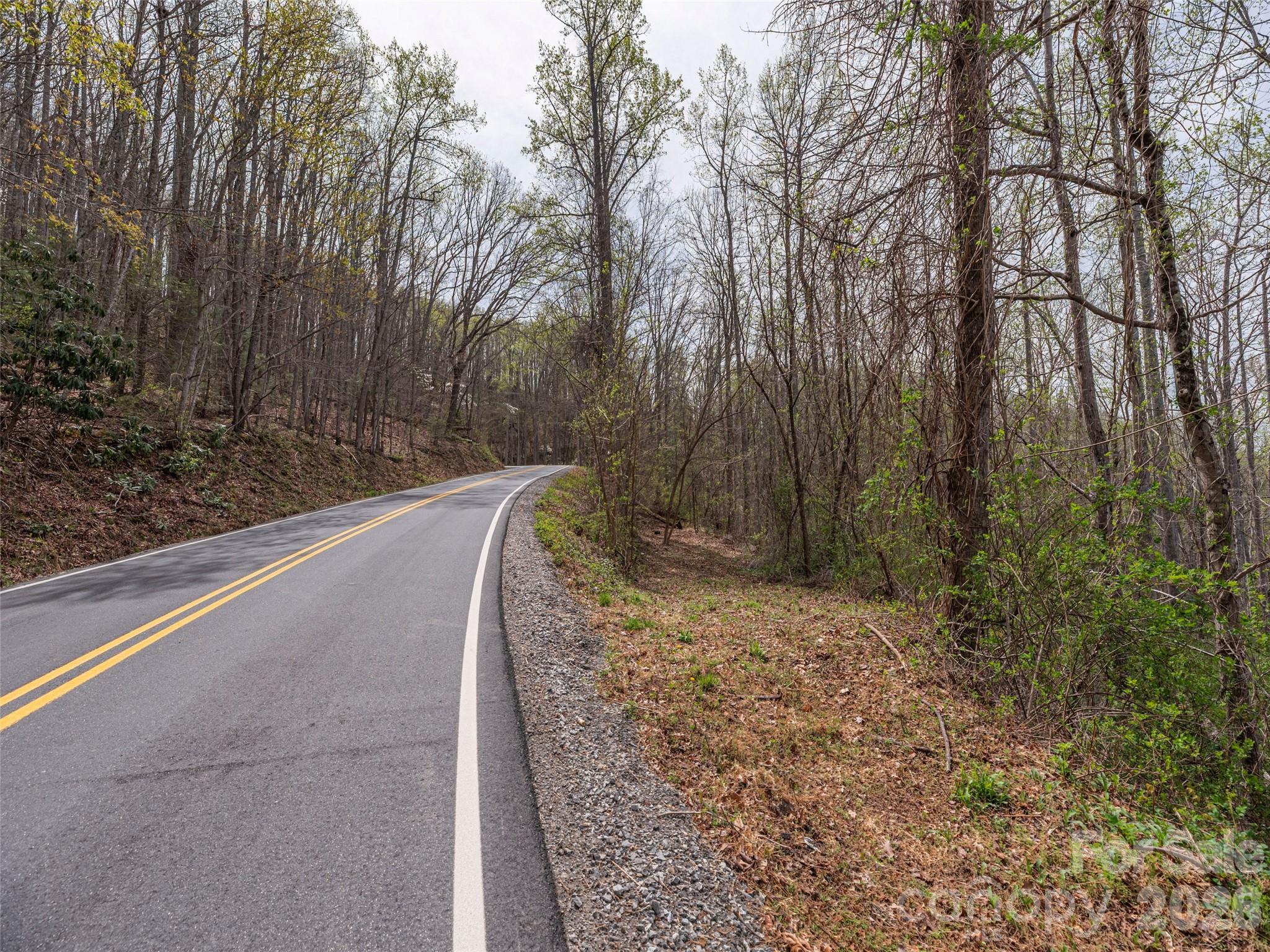 Lot at 111 & 125 Cedar Mountain Road, Asheville, photo 3 of 13