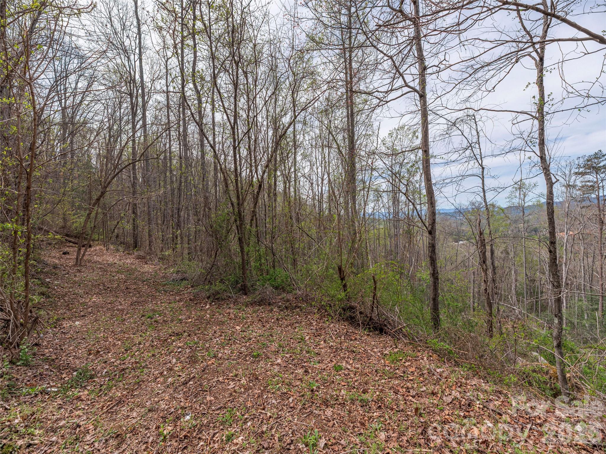 Lot at 111 & 125 Cedar Mountain Road, Asheville, photo 4 of 13