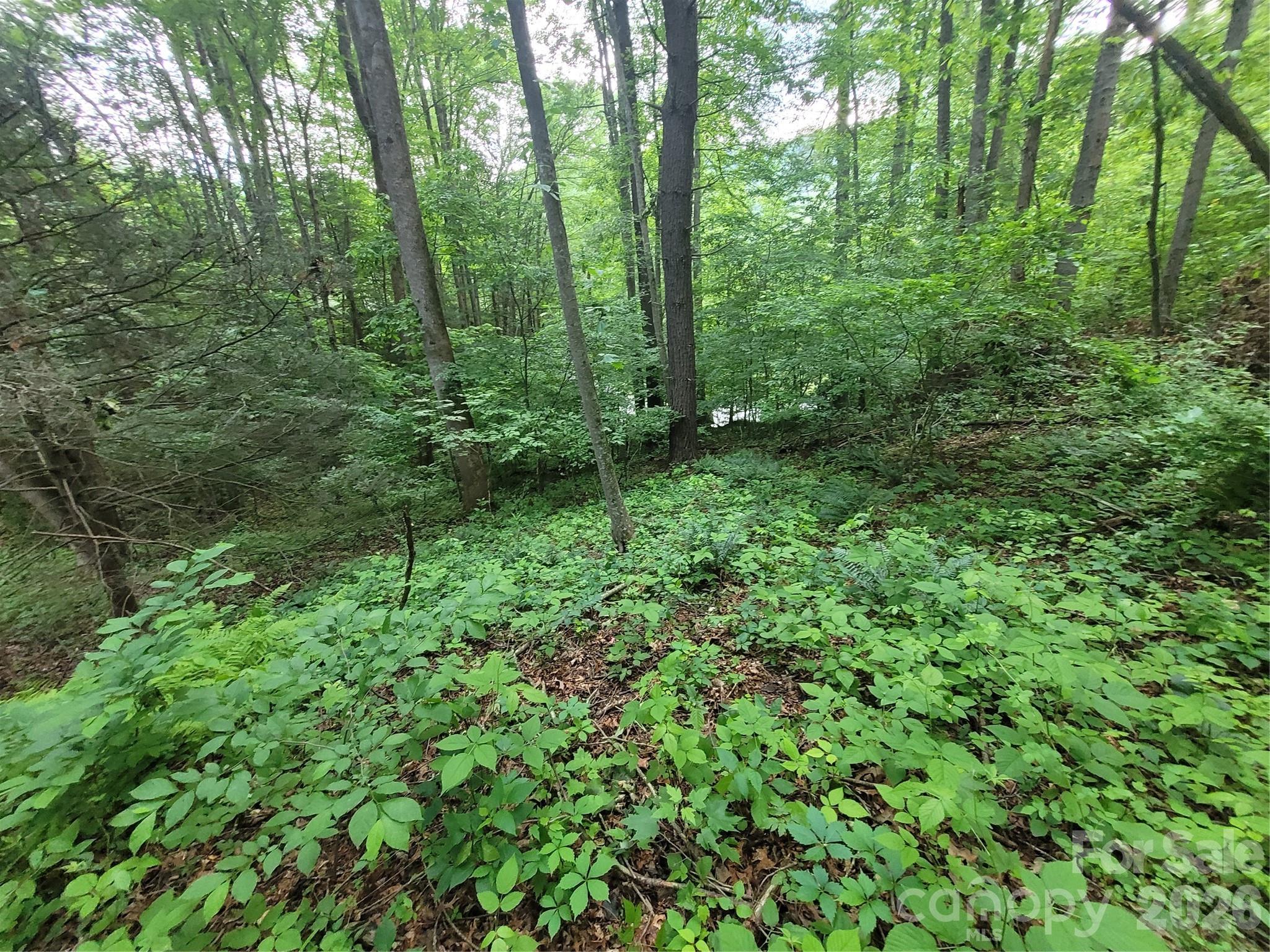Lot at 00 Serendipity Lane, Waynesville, photo 7 of 10