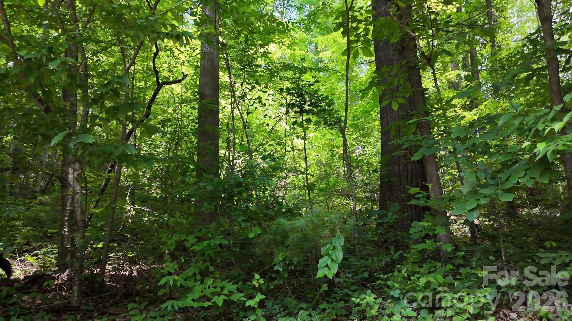 Lot at 00 Serendipity Lane, Waynesville, photo 5 of 10