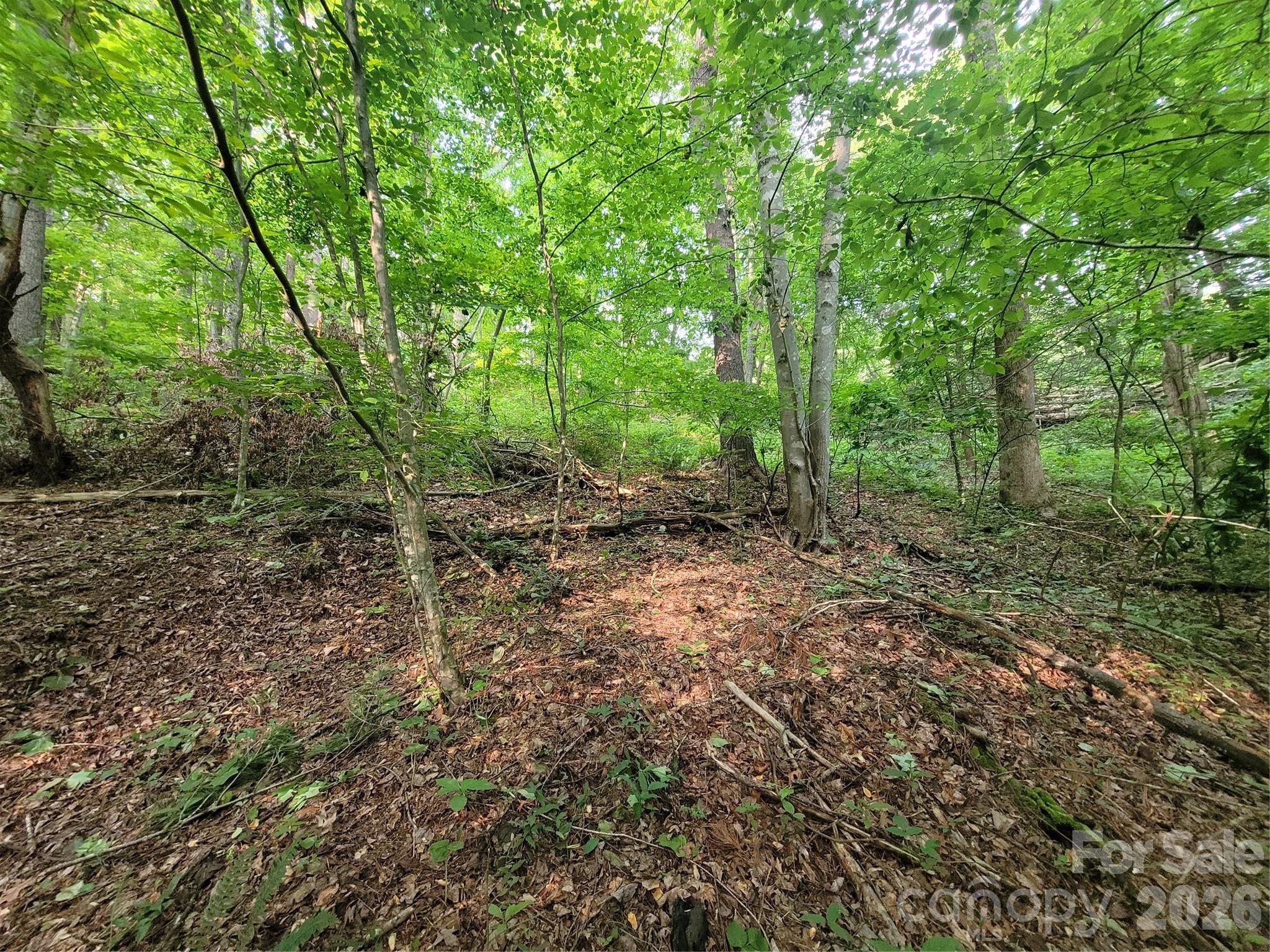 Lot at 00 Serendipity Lane, Waynesville, photo 3 of 10