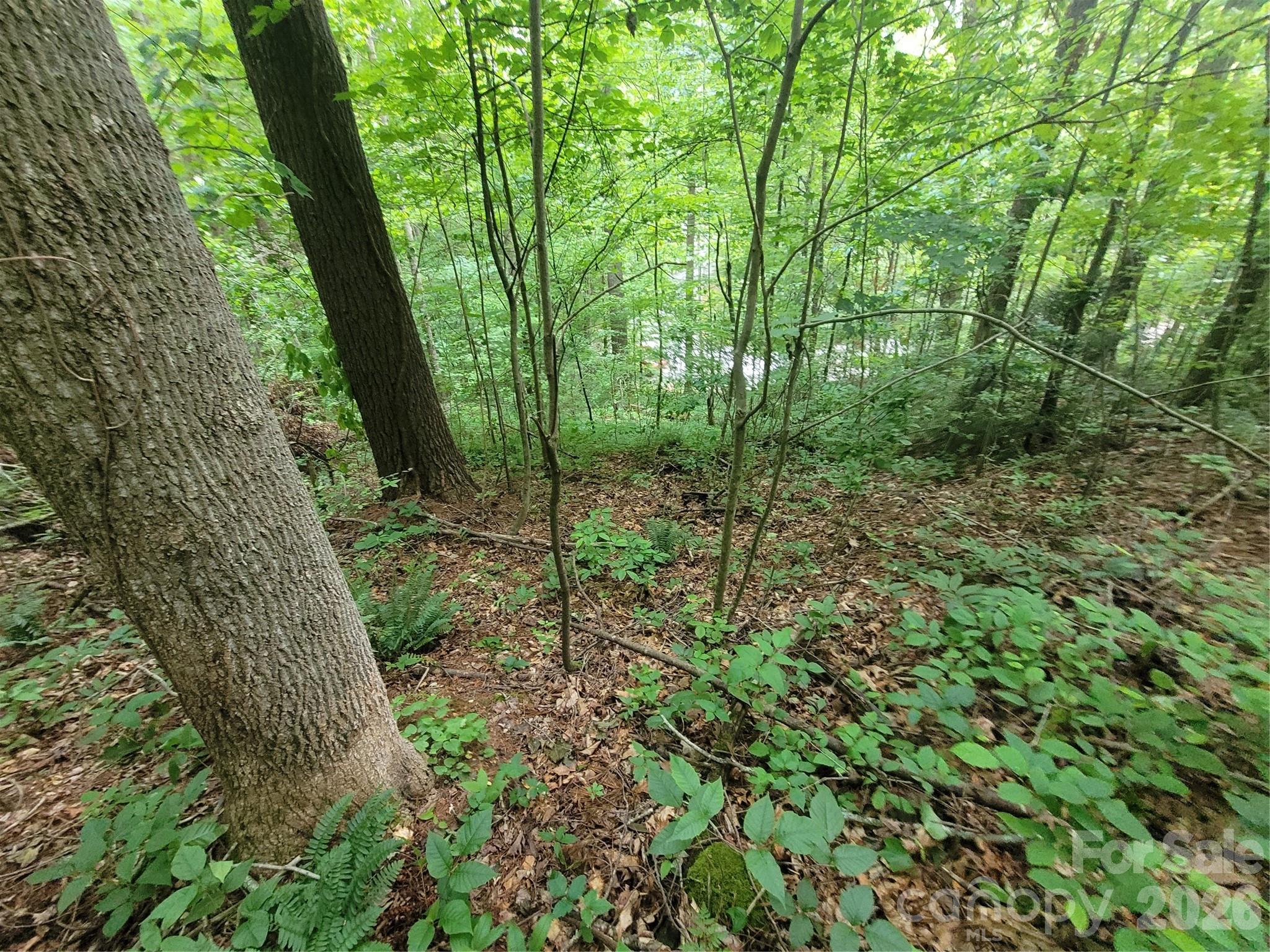 Lot at 00 Serendipity Lane, Waynesville, photo 9 of 10
