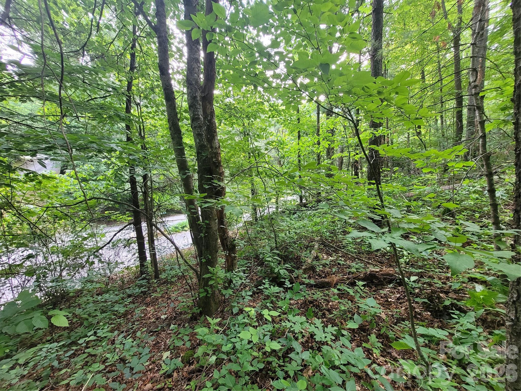 Lot at 00 Serendipity Lane, Waynesville, photo 8 of 10