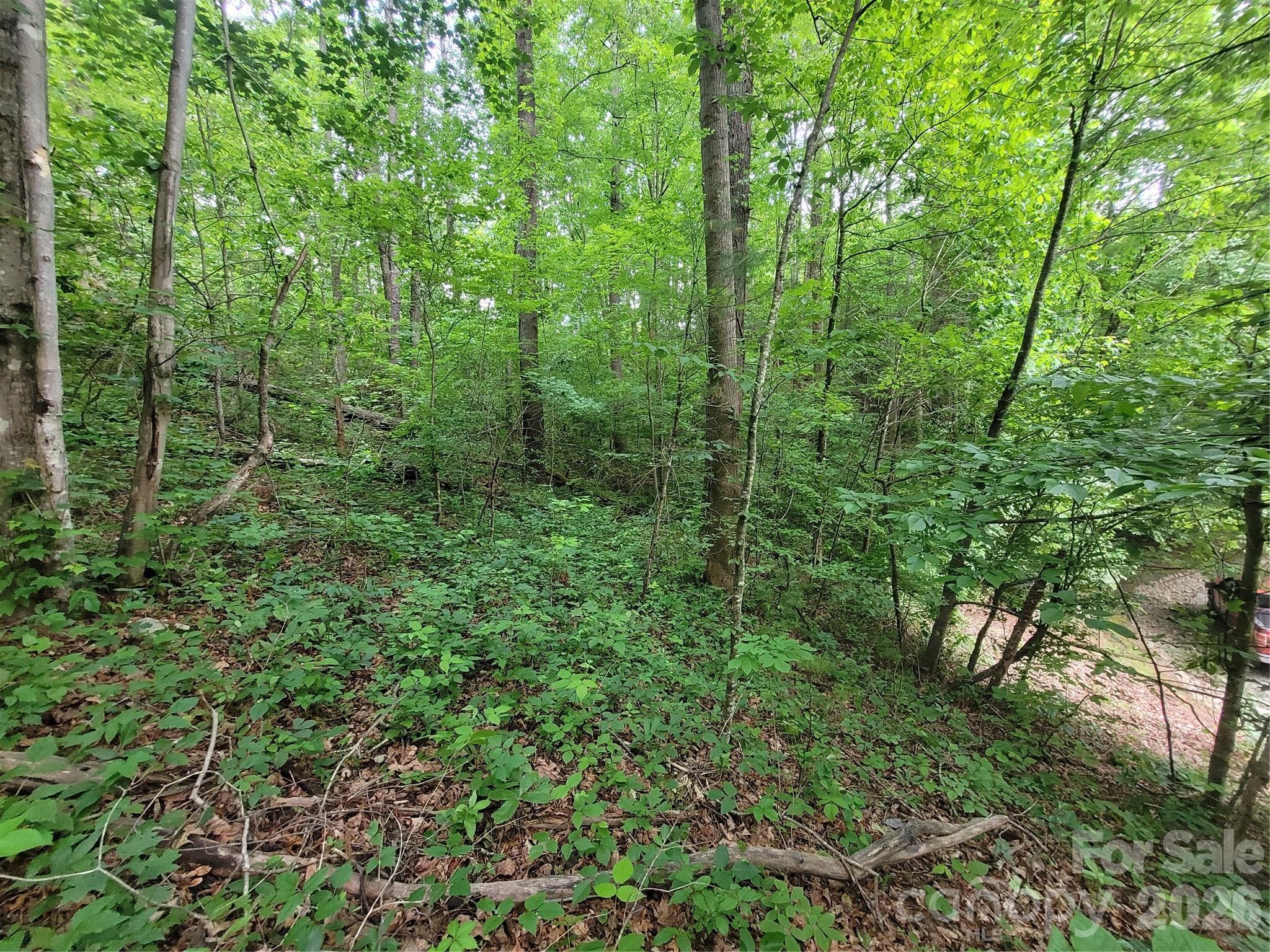 Lot at 00 Serendipity Lane, Waynesville, photo 10 of 10