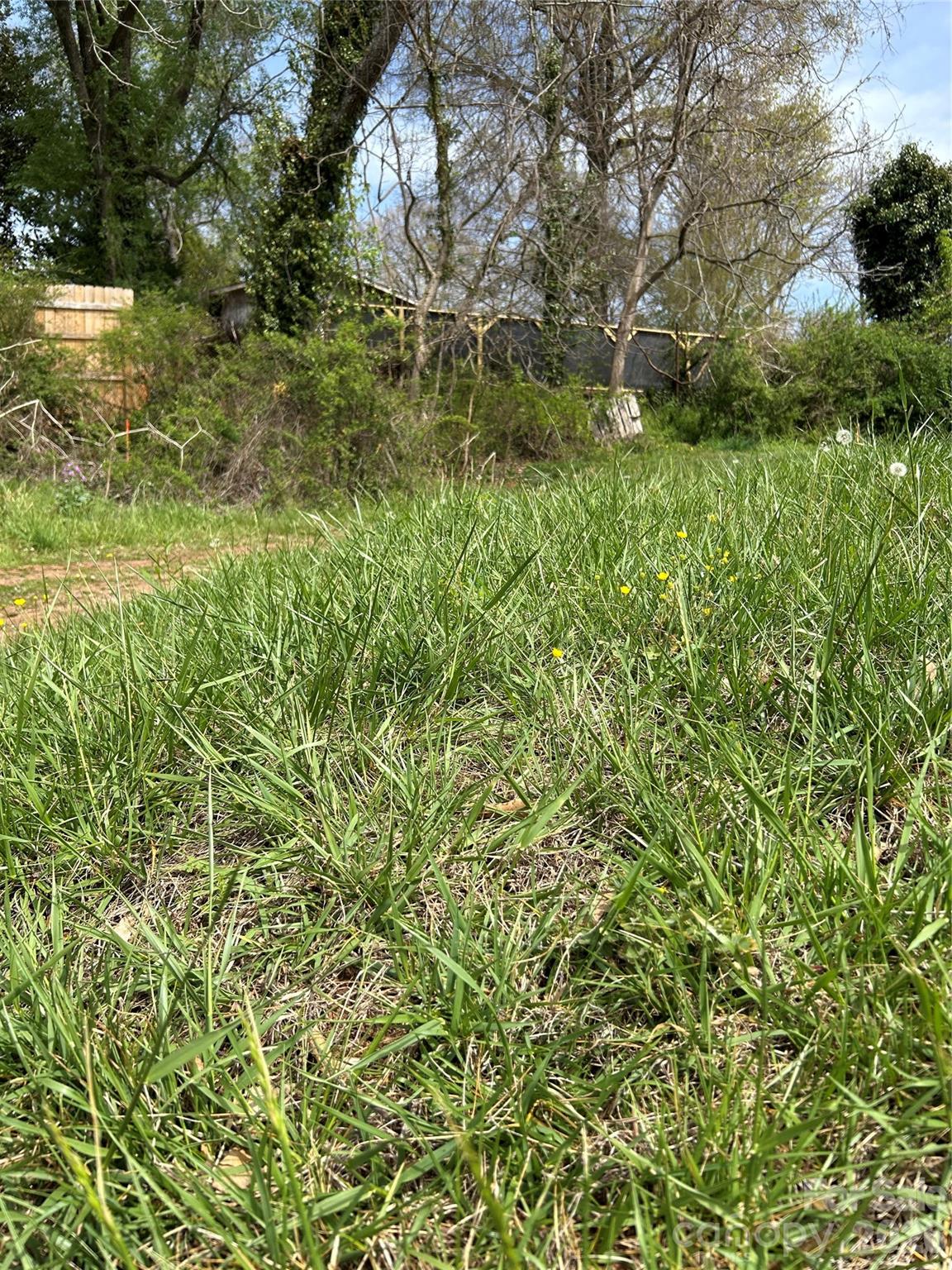 Lot at 99999 Lamb Avenue, Asheville, photo 4 of 8