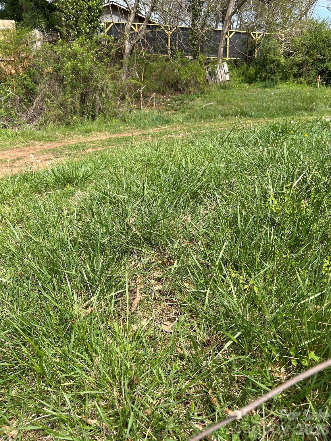 Lot at 99999 Lamb Avenue, Asheville, photo 5 of 8