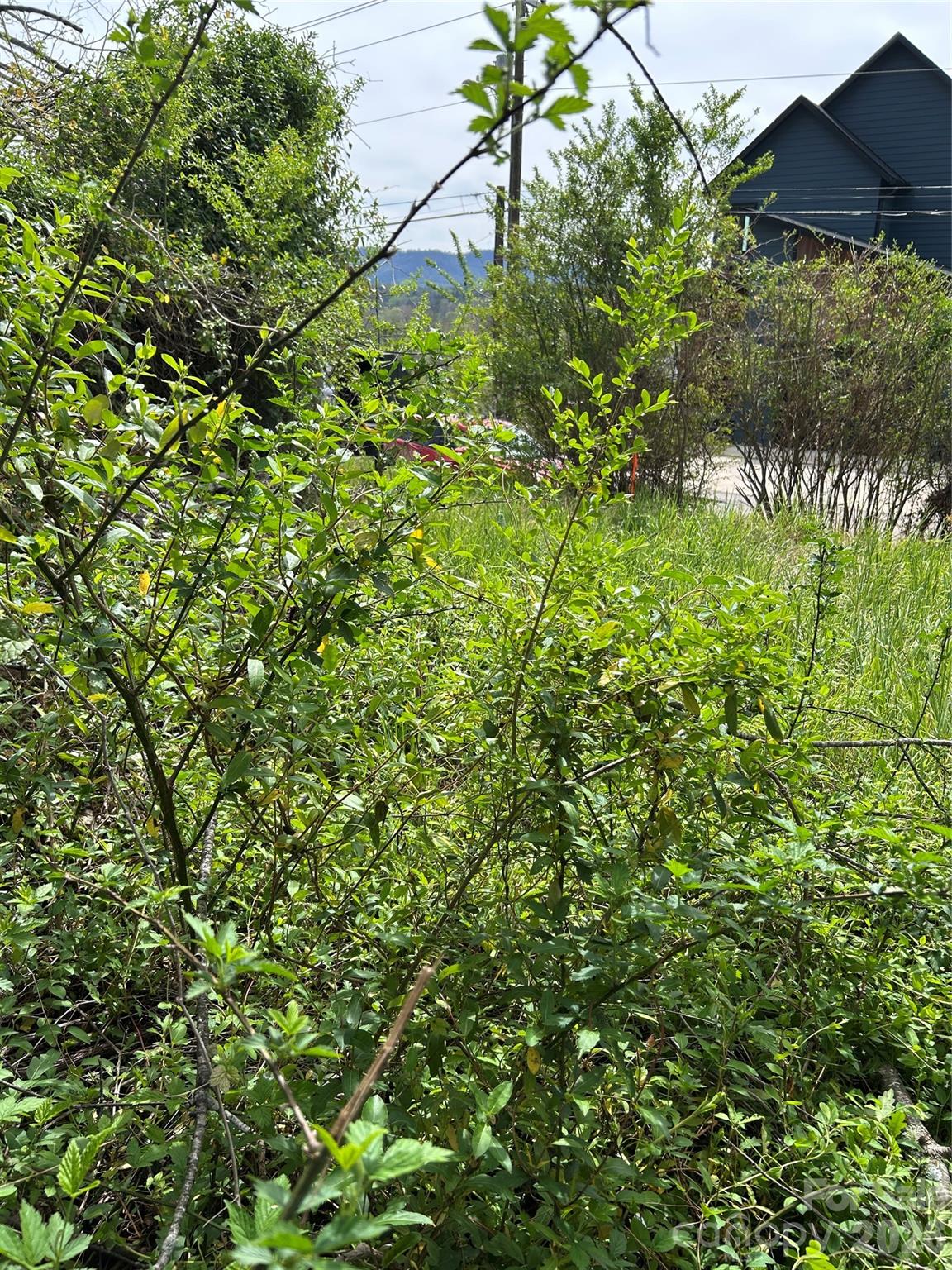 Lot at 99999 Lamb Avenue, Asheville, photo 4 of 6