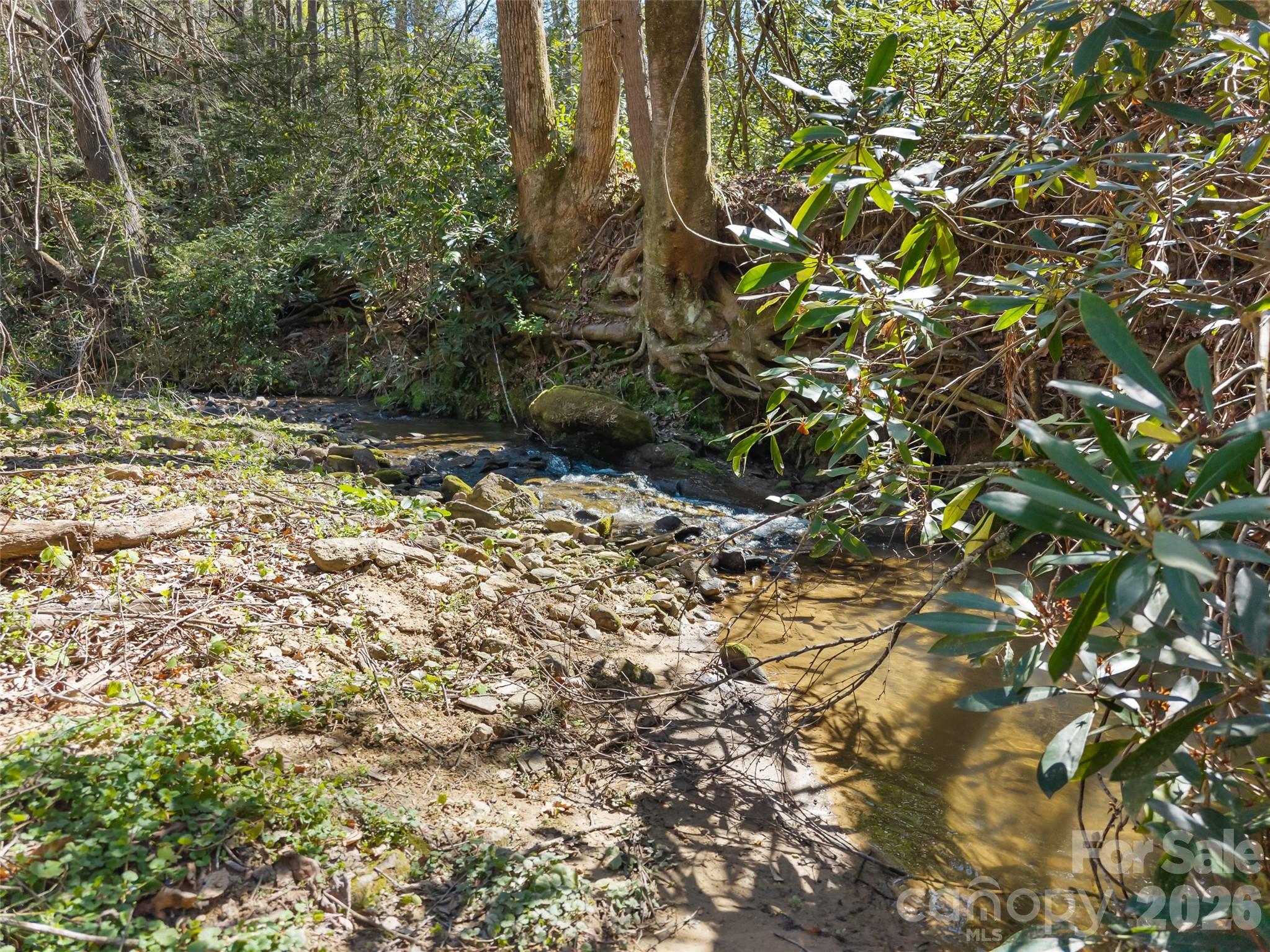 Creek runs throughout much of the 2+ acres - 40 Morning Dove Lane, Flat Rock