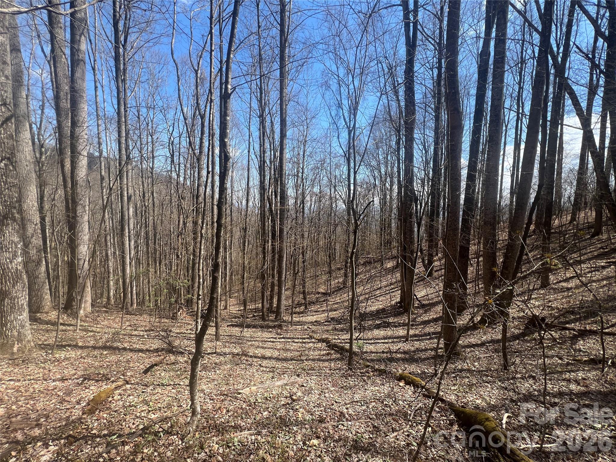 Lot at 200 Wolverine Court, Waynesville, photo 2 of 19
