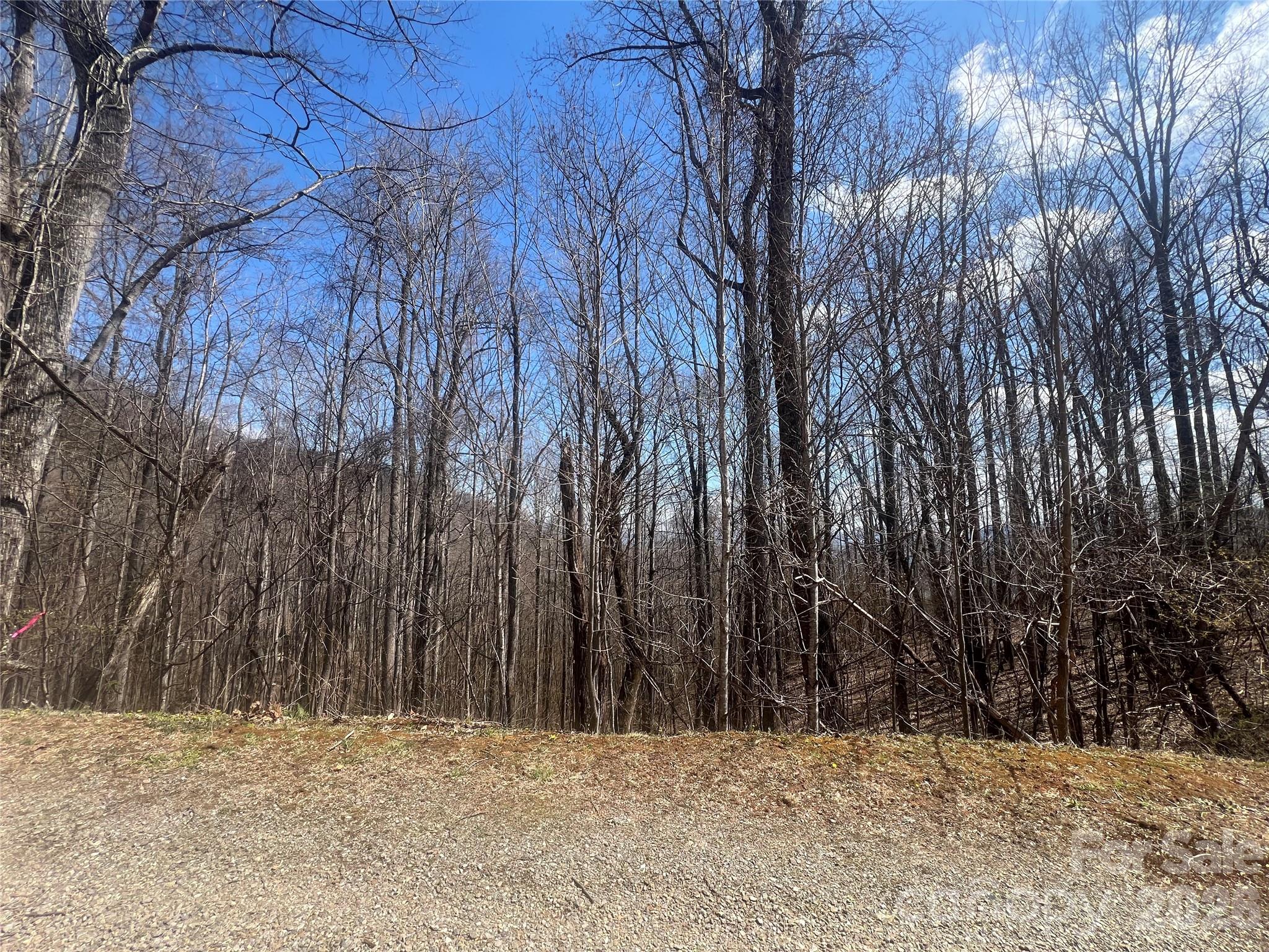 Lot at 200 Wolverine Court, Waynesville, photo 12 of 19