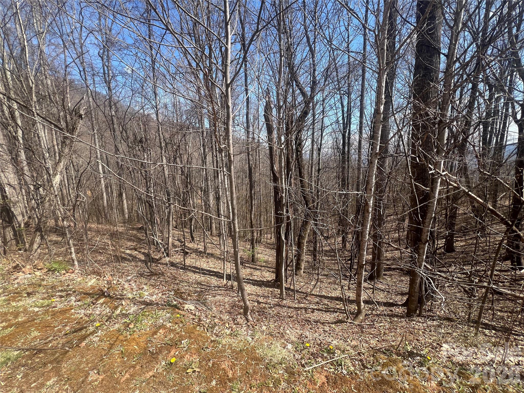 Lot at 200 Wolverine Court, Waynesville, photo 16 of 19