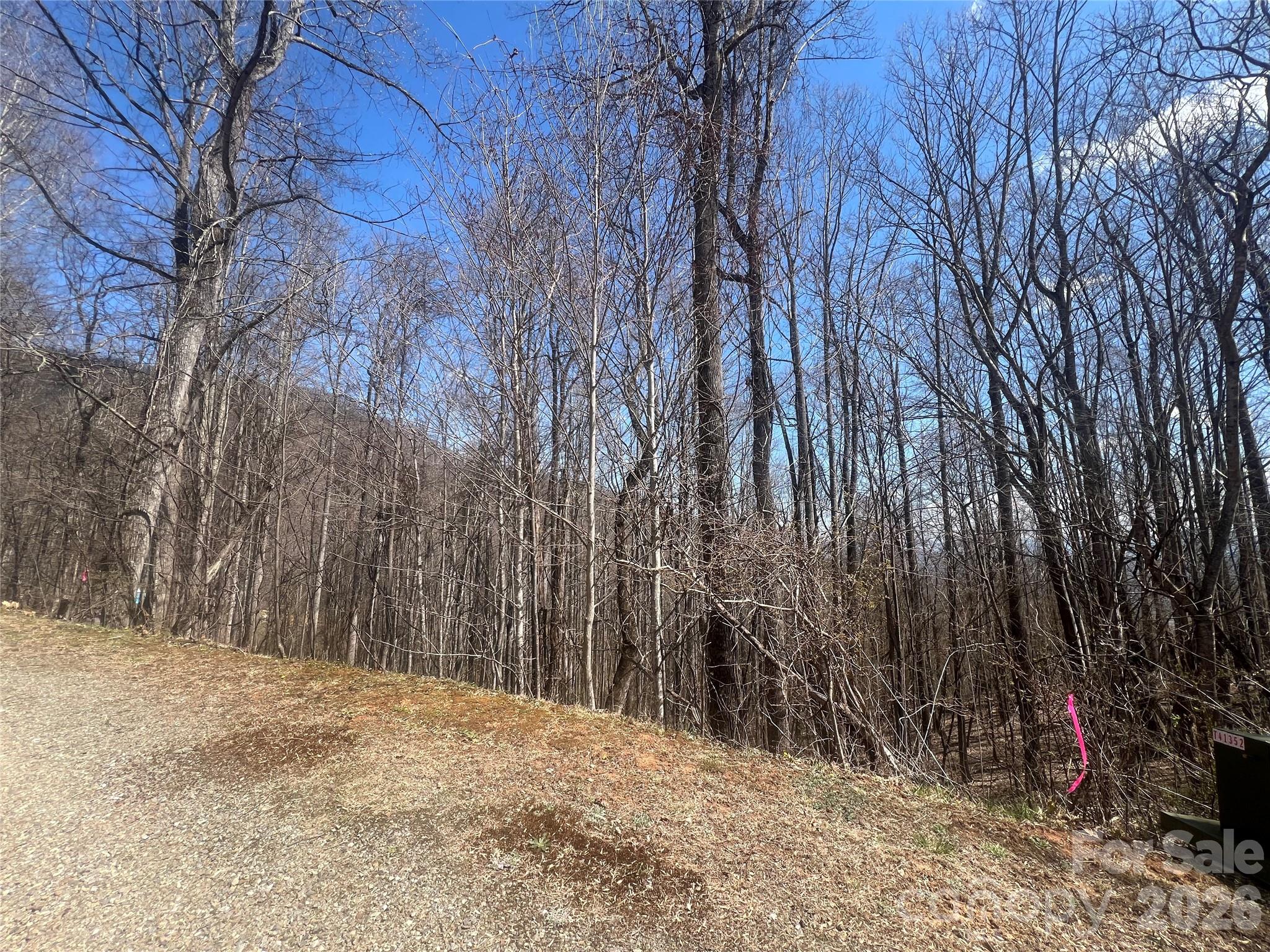 Lot at 200 Wolverine Court, Waynesville, photo 17 of 19