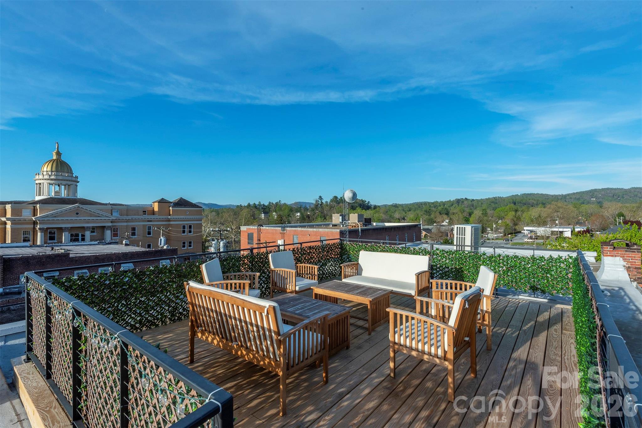Condominium at 225 N Main Street, Hendersonville, photo 2 of 38