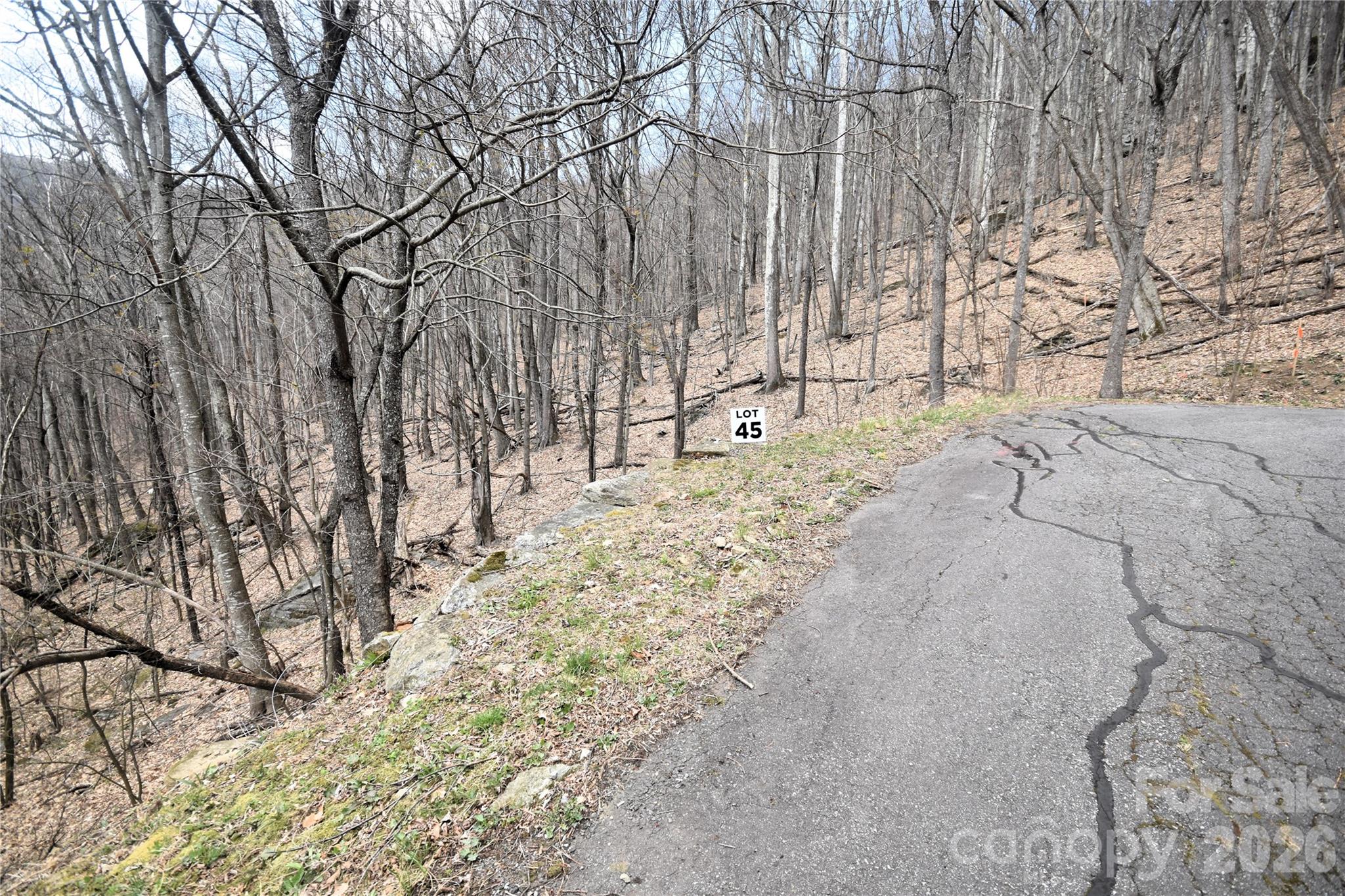 Middle of lot 45 from Prosperity Ridge - 45 Prosperity Ridge, Waynesville