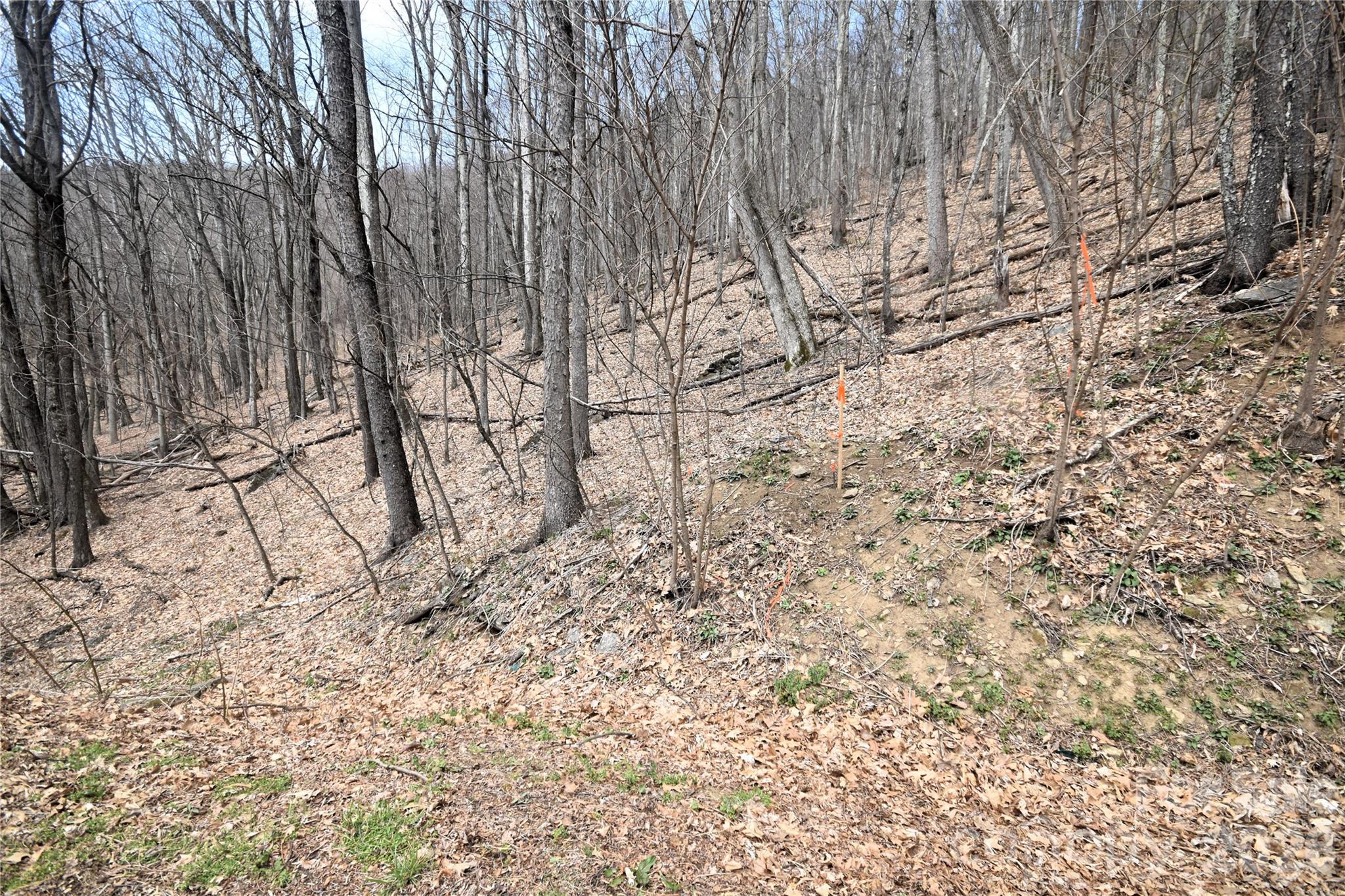 Upper Boundary line of lot 45 from Prosperity Ridge - 45 Prosperity Ridge, Waynesville