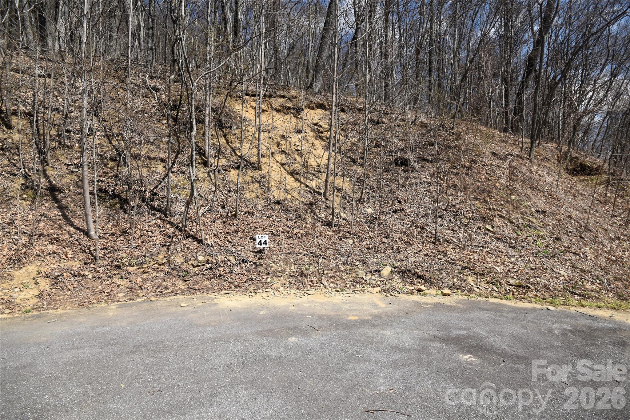 Lot 44 from the bottom of the lot - 44 Prosperity Ridge, Waynesville