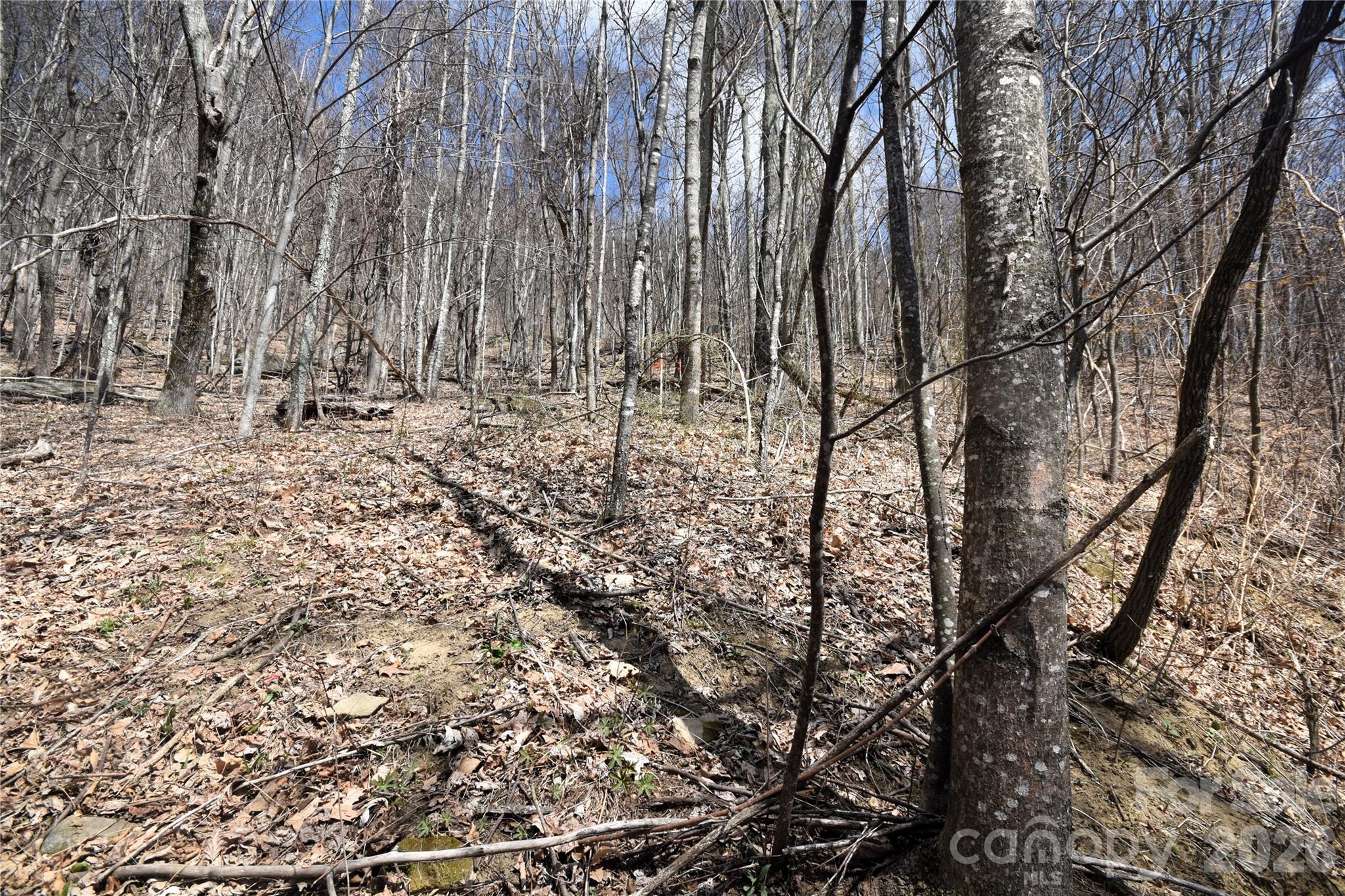 Lot 44 left Boundary line from the bottom of the lot - 44 Prosperity Ridge, Waynesville