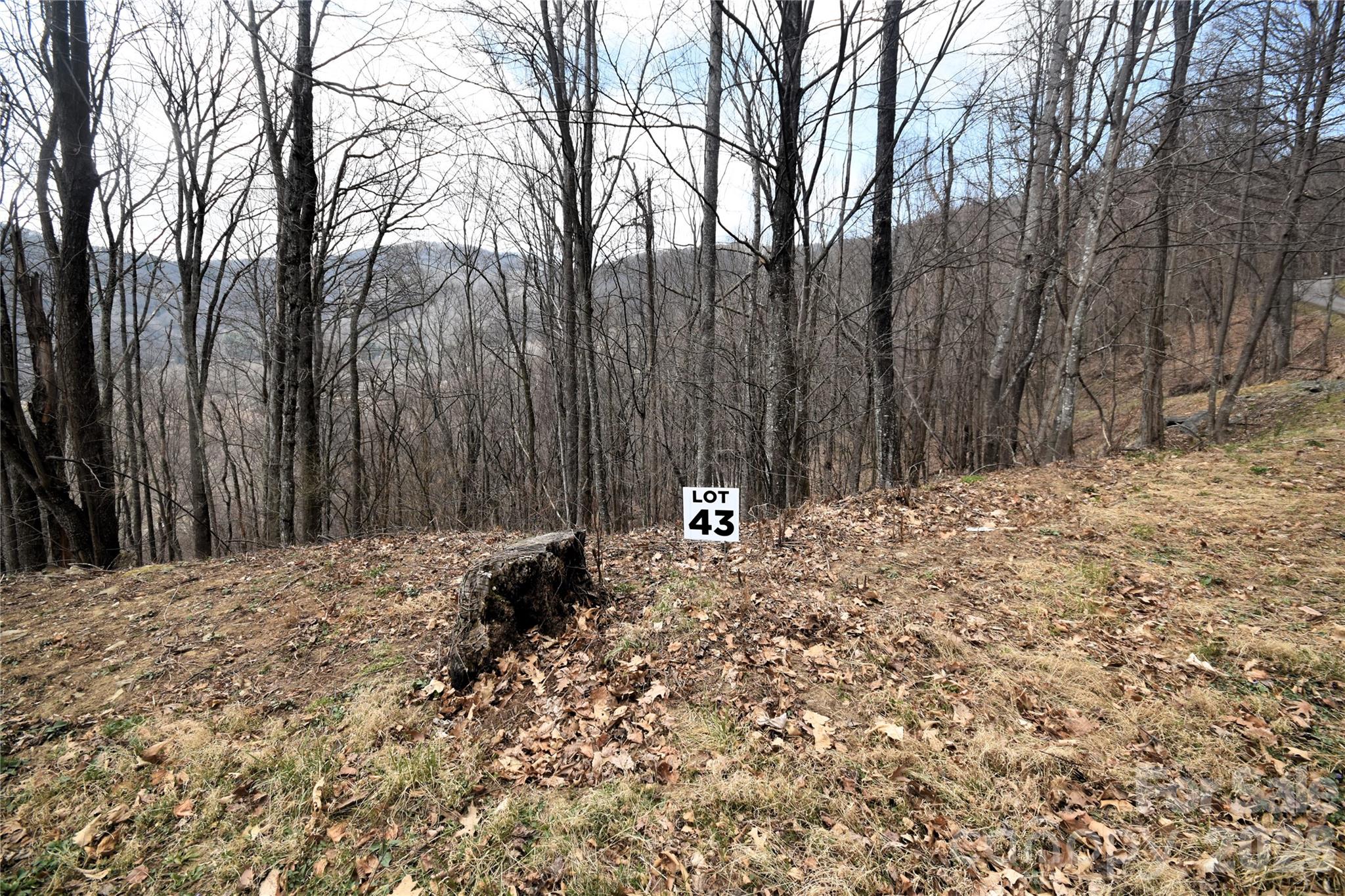 From top of lot on Prosperity Ridge - 43 Marble Stone Drive, Waynesville