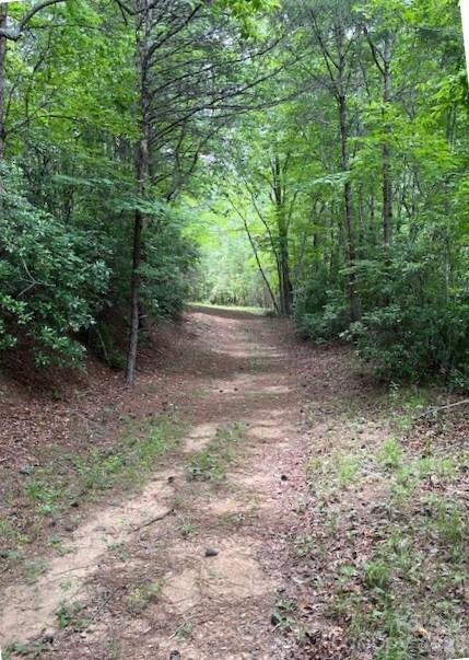 Acreage at Lot 46 Lake Adger Parkway, Mill Spring, photo 4 of 15