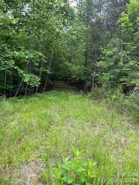 Acreage at Lot 46 Lake Adger Parkway, Mill Spring, photo 5 of 15
