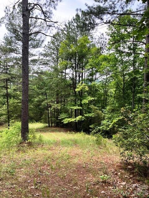 Acreage at Lot 46 Lake Adger Parkway, Mill Spring, photo 6 of 15