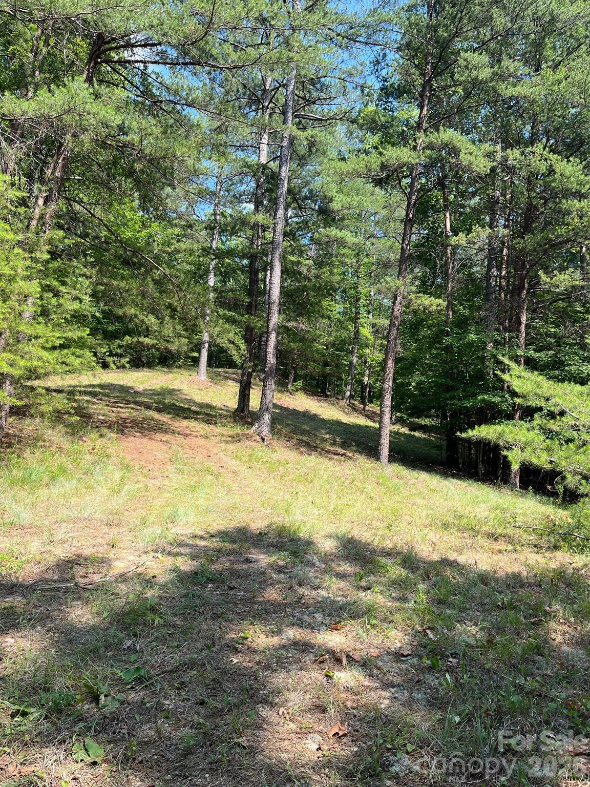 Acreage at Lot 46 Lake Adger Parkway, Mill Spring, photo 7 of 15