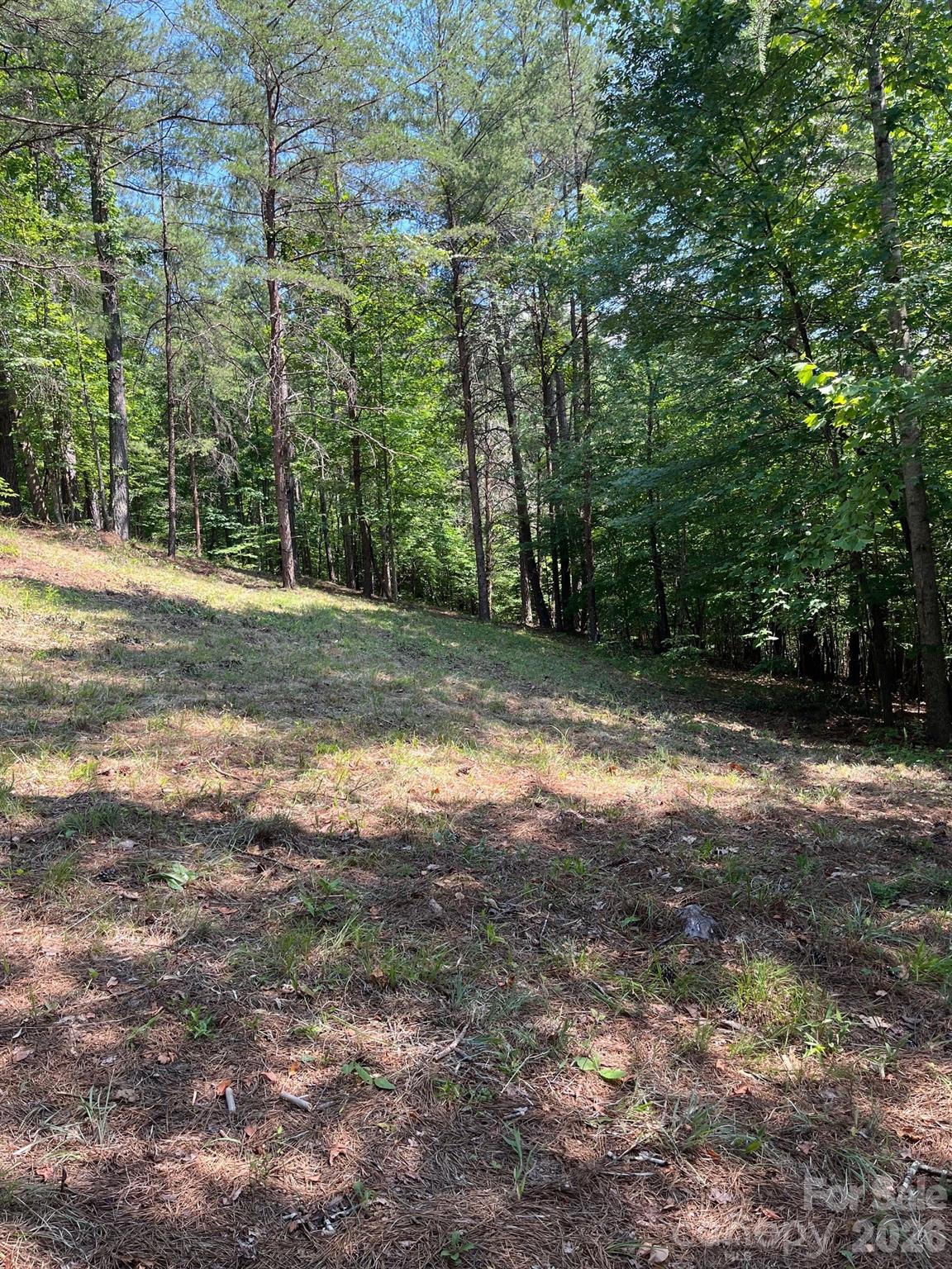 Acreage at Lot 46 Lake Adger Parkway, Mill Spring, photo 8 of 15