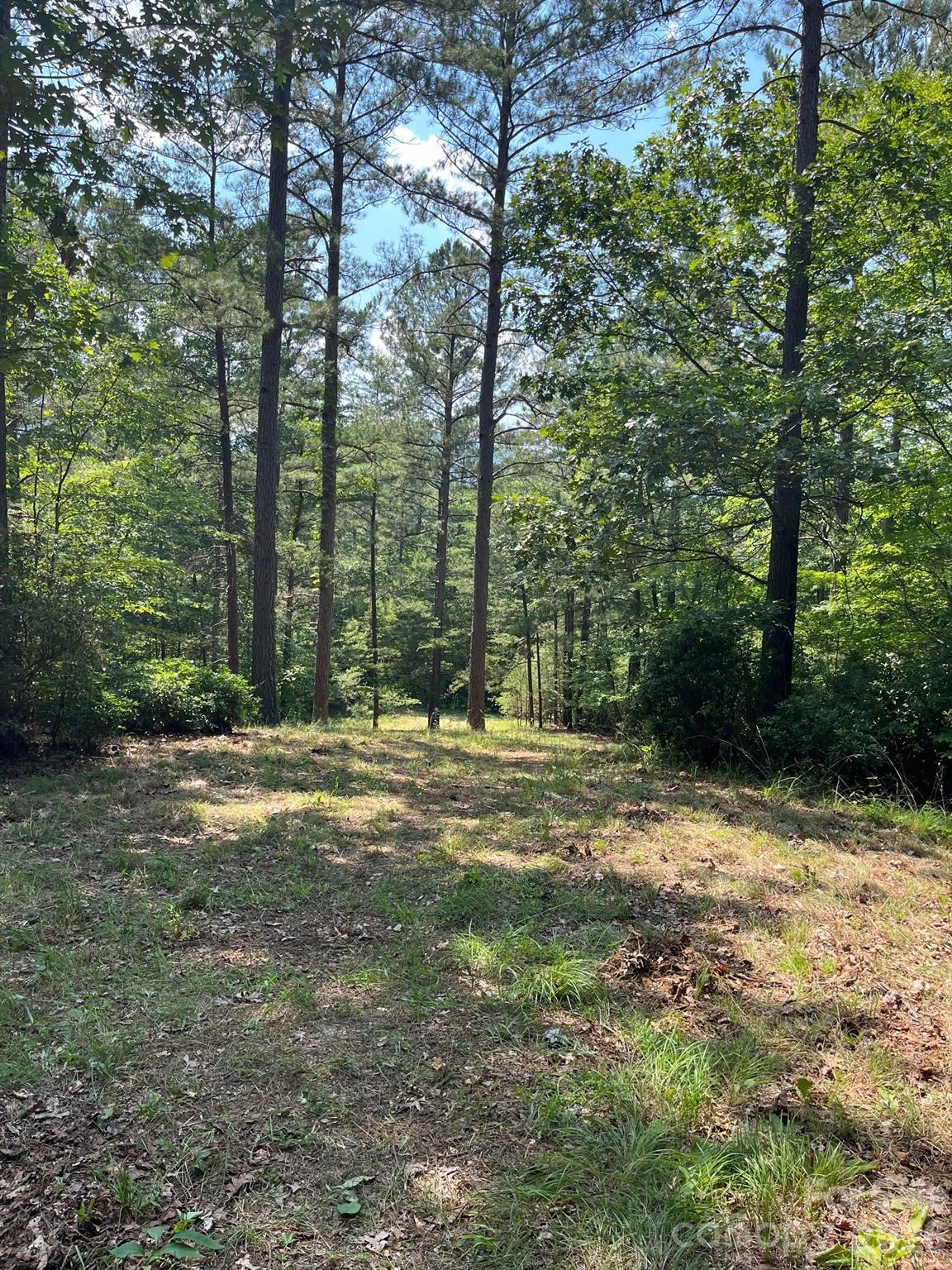 Acreage at Lot 46 Lake Adger Parkway, Mill Spring, photo 9 of 15