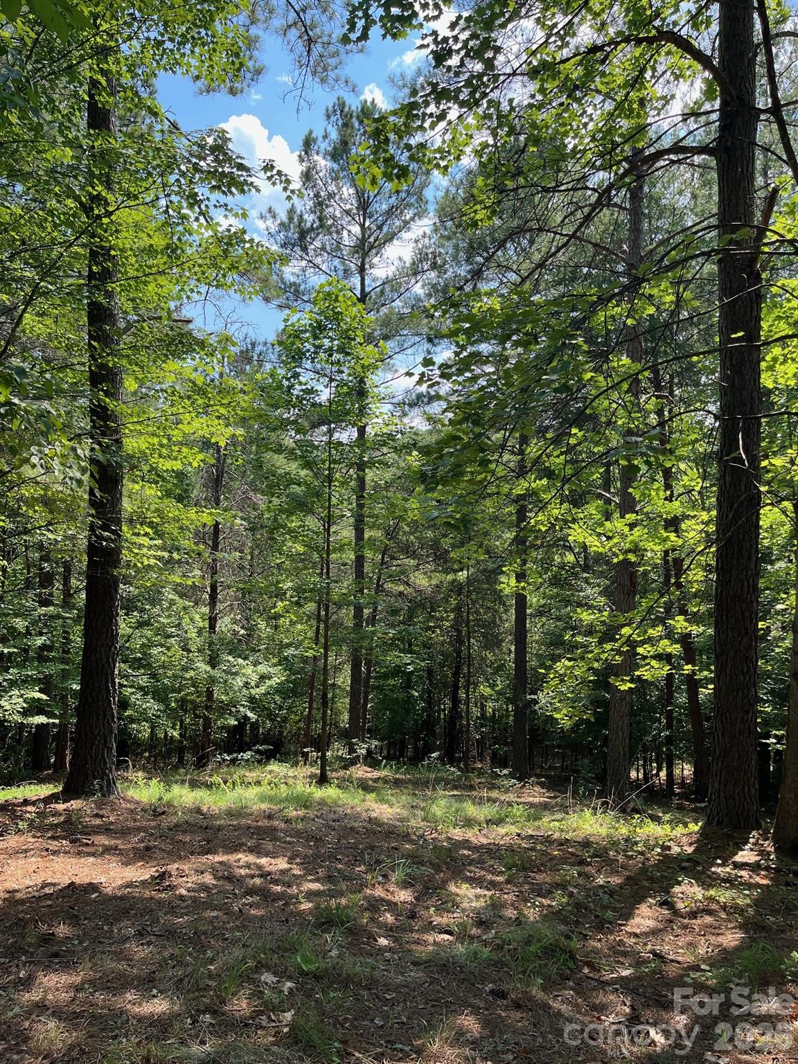 Acreage at Lot 46 Lake Adger Parkway, Mill Spring, photo 10 of 15