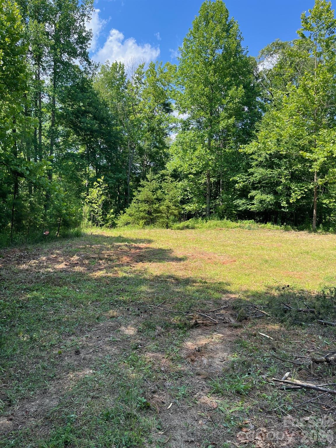 Acreage at Lot 46 Lake Adger Parkway, Mill Spring, photo 12 of 15