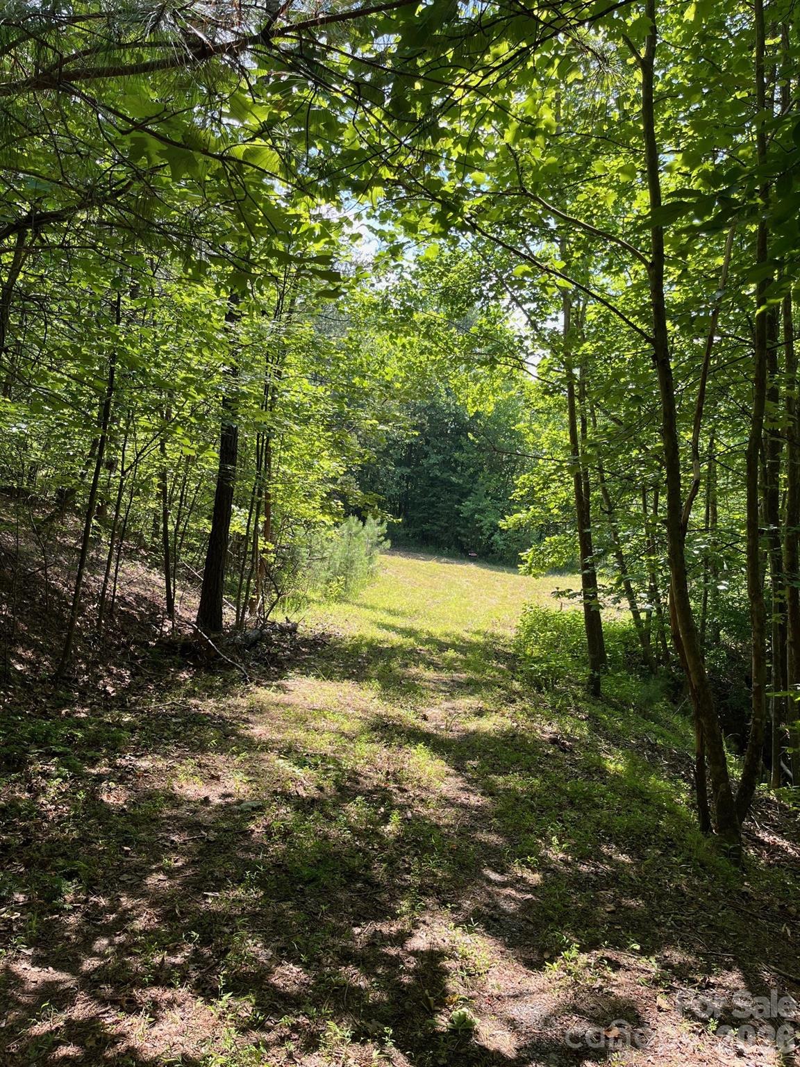 Acreage at Lot 46 Lake Adger Parkway, Mill Spring, photo 13 of 15