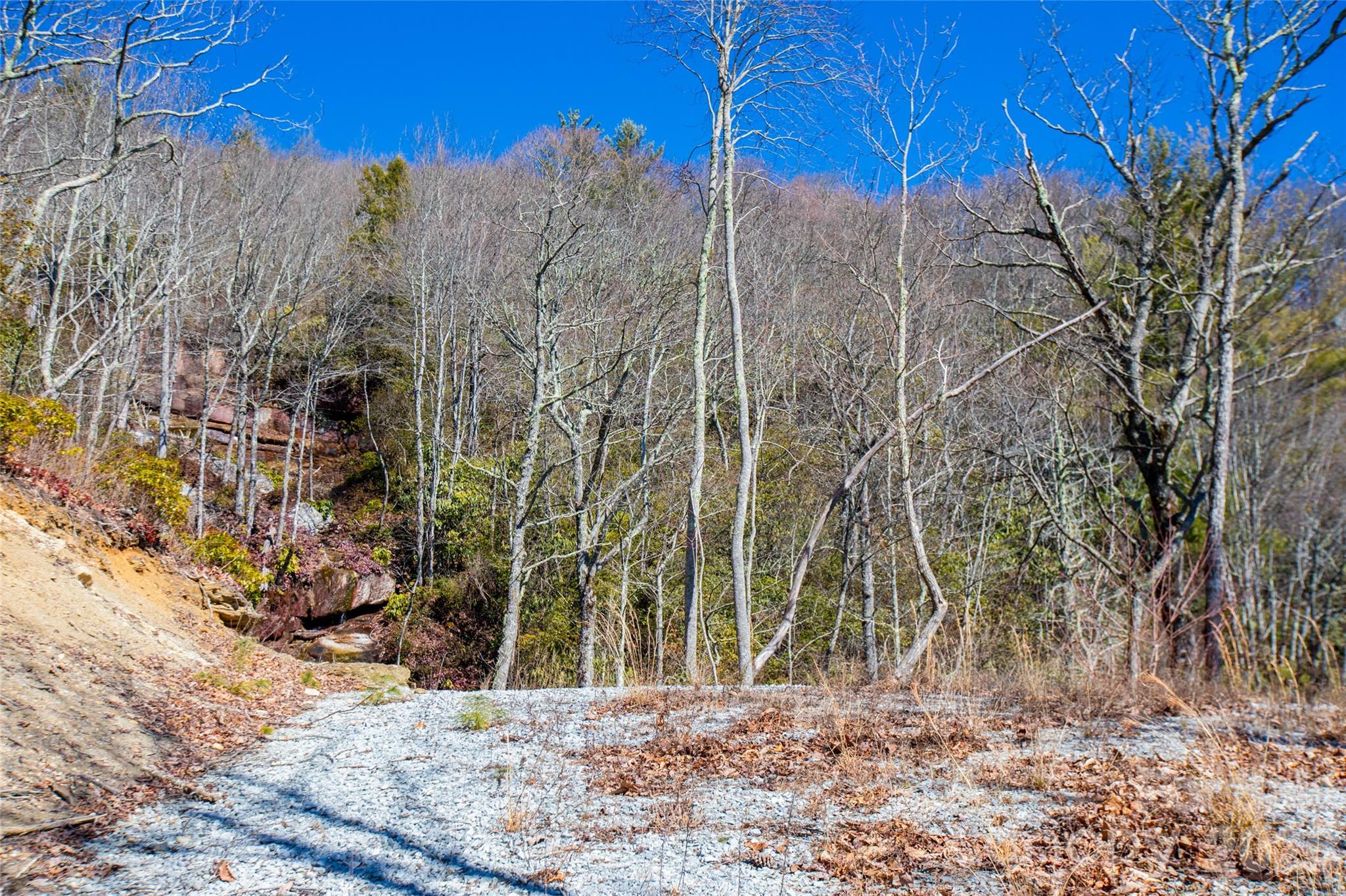 Lot at Lot 19 W Whitetail Drive, Sapphire, photo 6 of 28