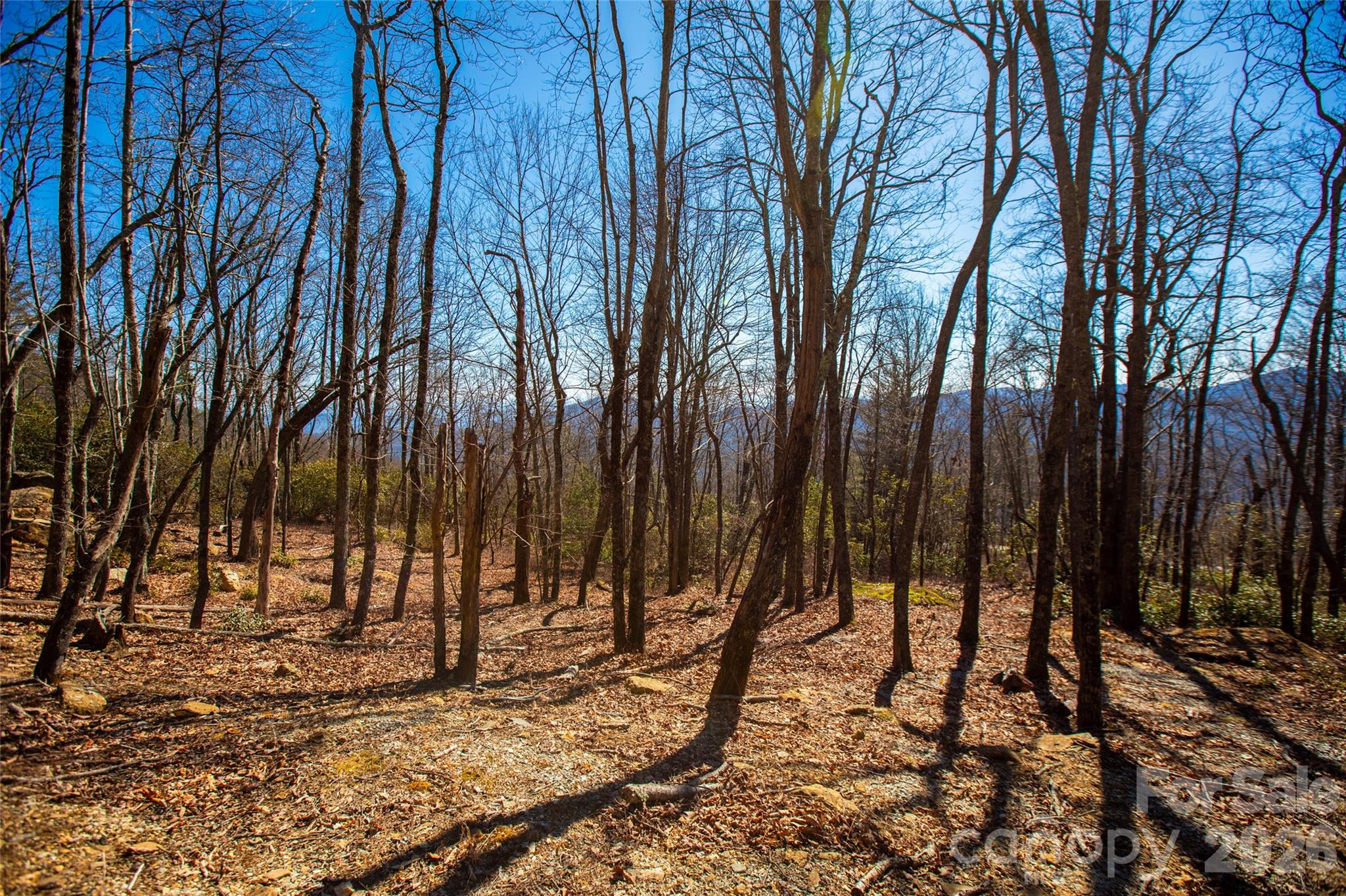 Lot at Lot 19 W Whitetail Drive, Sapphire, photo 10 of 28