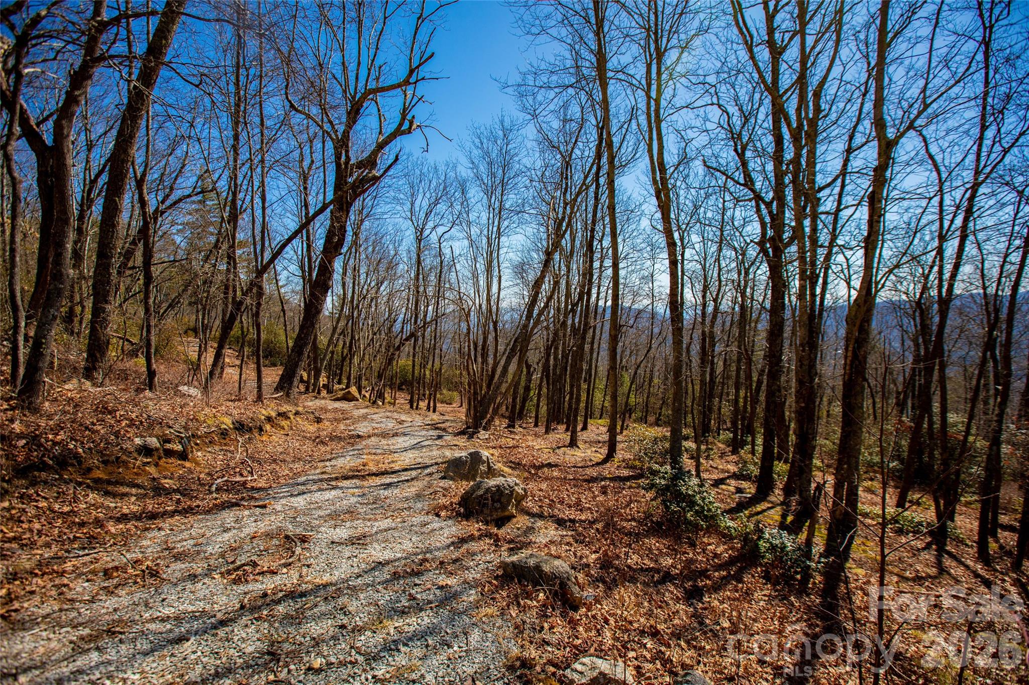 Lot at Lot 19 W Whitetail Drive, Sapphire, photo 11 of 28