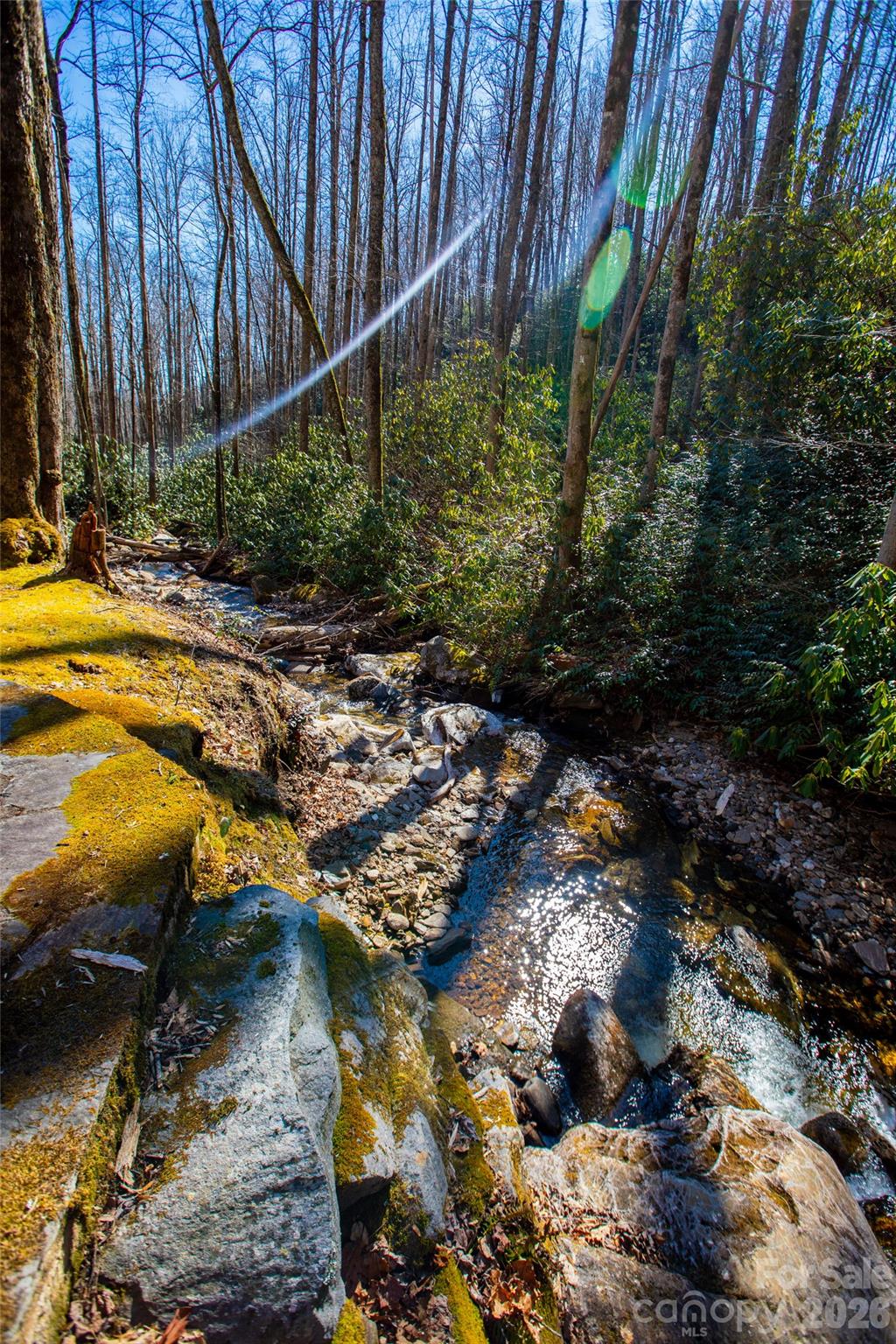 The Preserve at Rock Creek - Rock Creek Falls - Lot 19 W Whitetail Drive, Sapphire