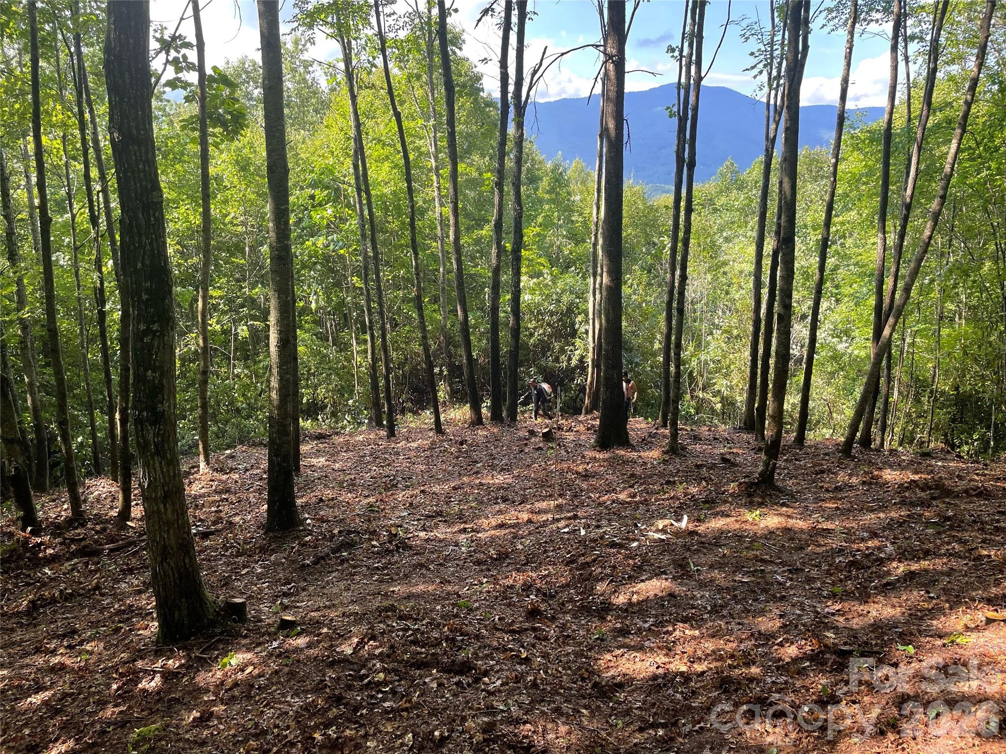Lot at Lt 239 Down The Hill Road, Sylva, photo 2 of 18