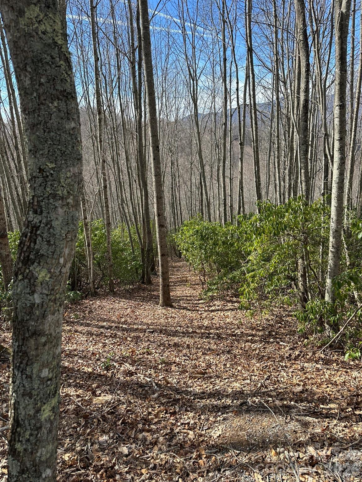 Lot at Lt 239 Down The Hill Road, Sylva, photo 3 of 18