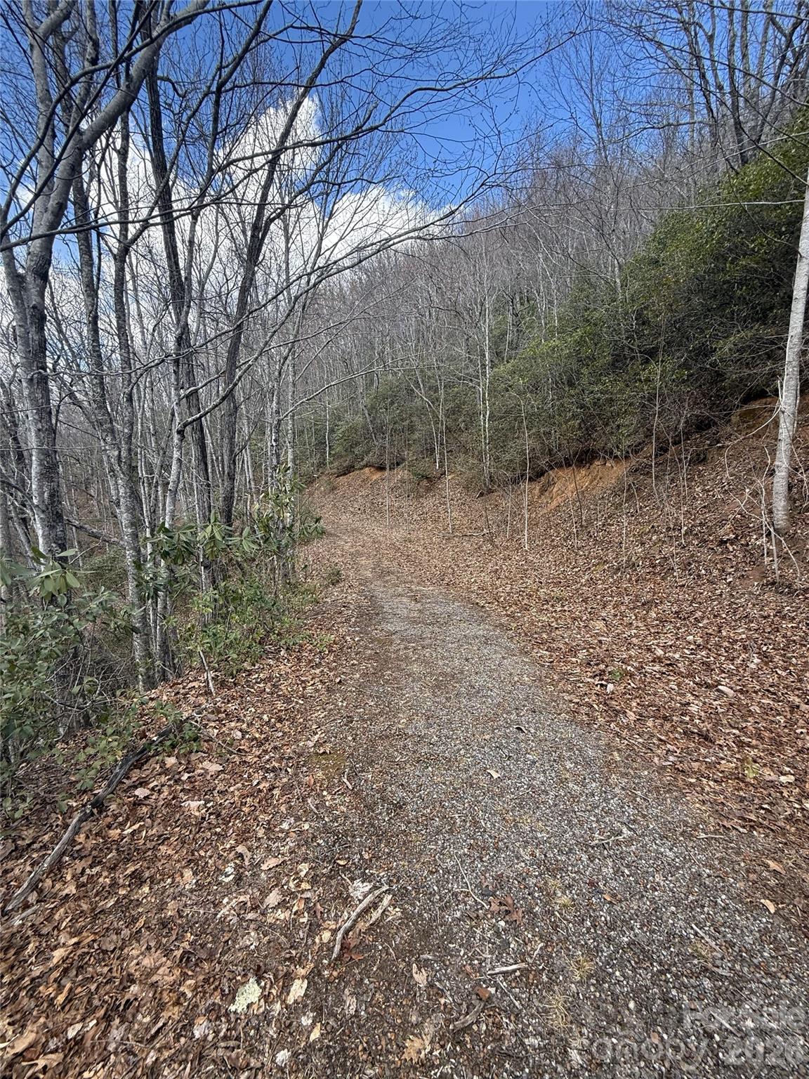 Complete Privacy - 81 Boarding House Way, Sylva