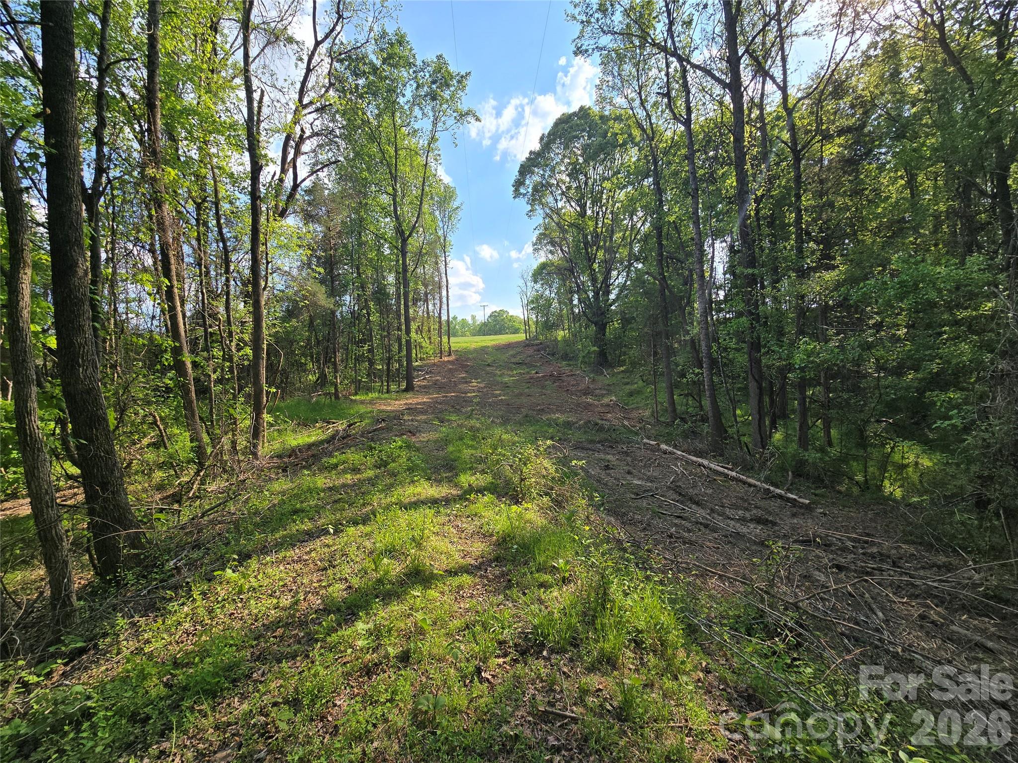 Acreage at 0 NC 801 Highway, Mt Ulla, photo 2 of 24