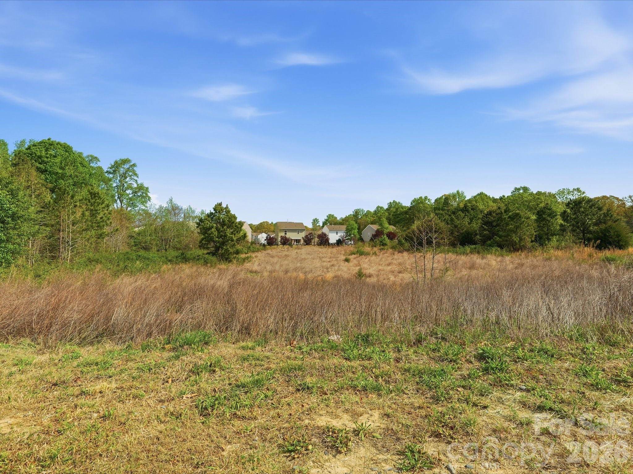 Unimproved Commercial at 1386 Highway 55 Highway E, Clover, photo 5 of 19