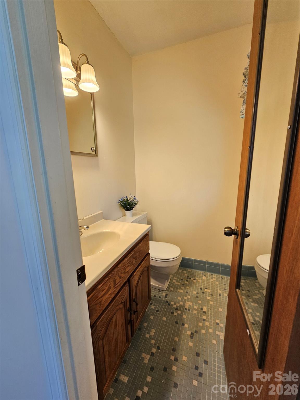 Half bath in Primary Bedroom - 3220 Sweeten Creek Road, Asheville