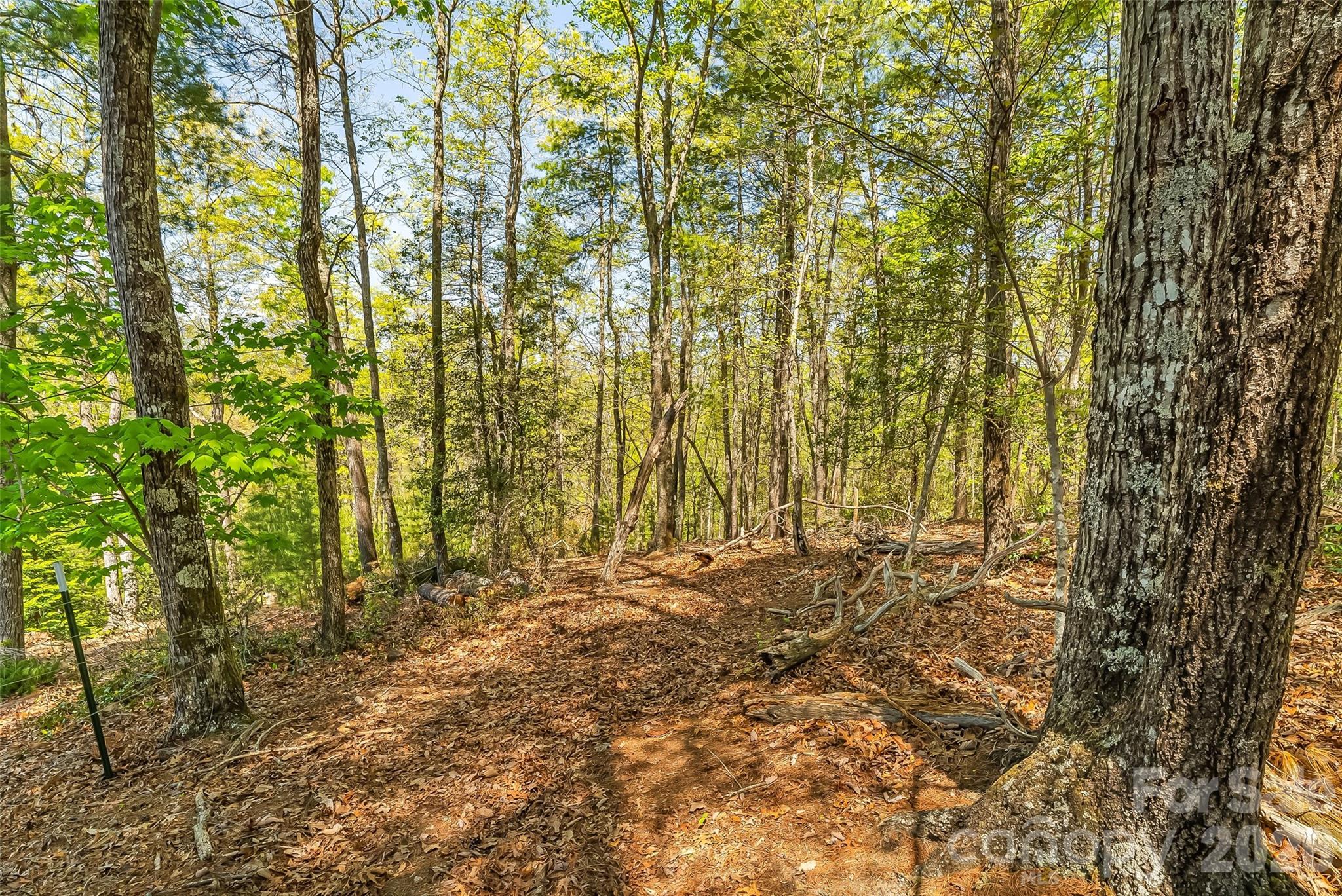 Lot at 1006 High Trail Drive, Nebo, photo 9 of 18