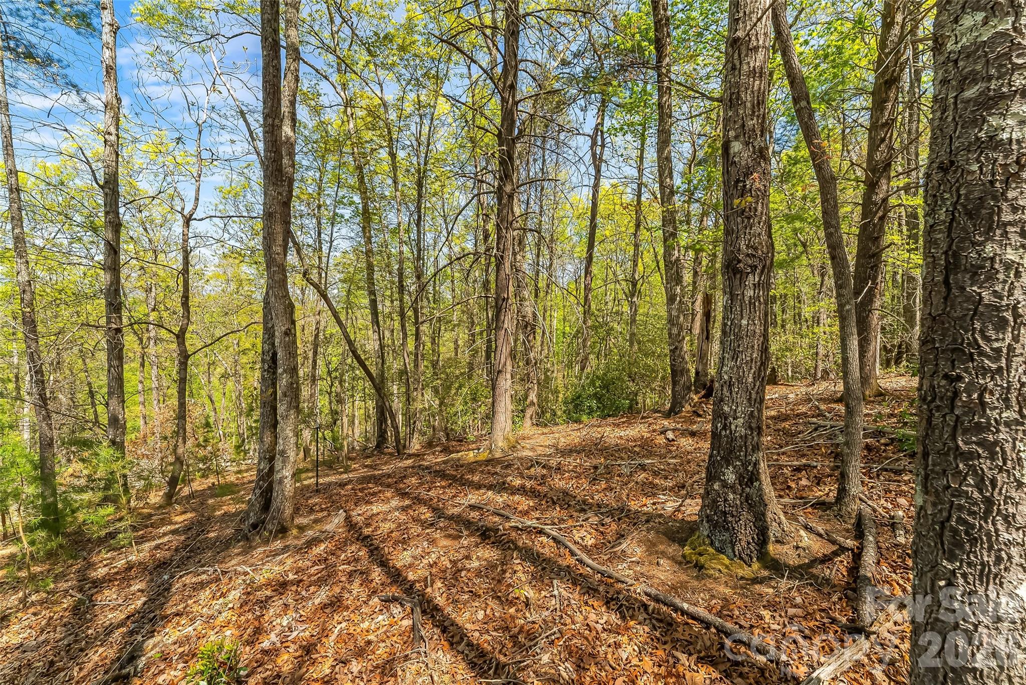 Lot at 1006 High Trail Drive, Nebo, photo 10 of 18