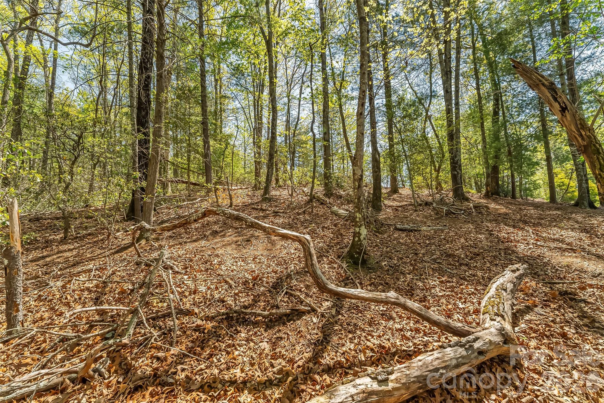 Lot at 1006 High Trail Drive, Nebo, photo 11 of 18