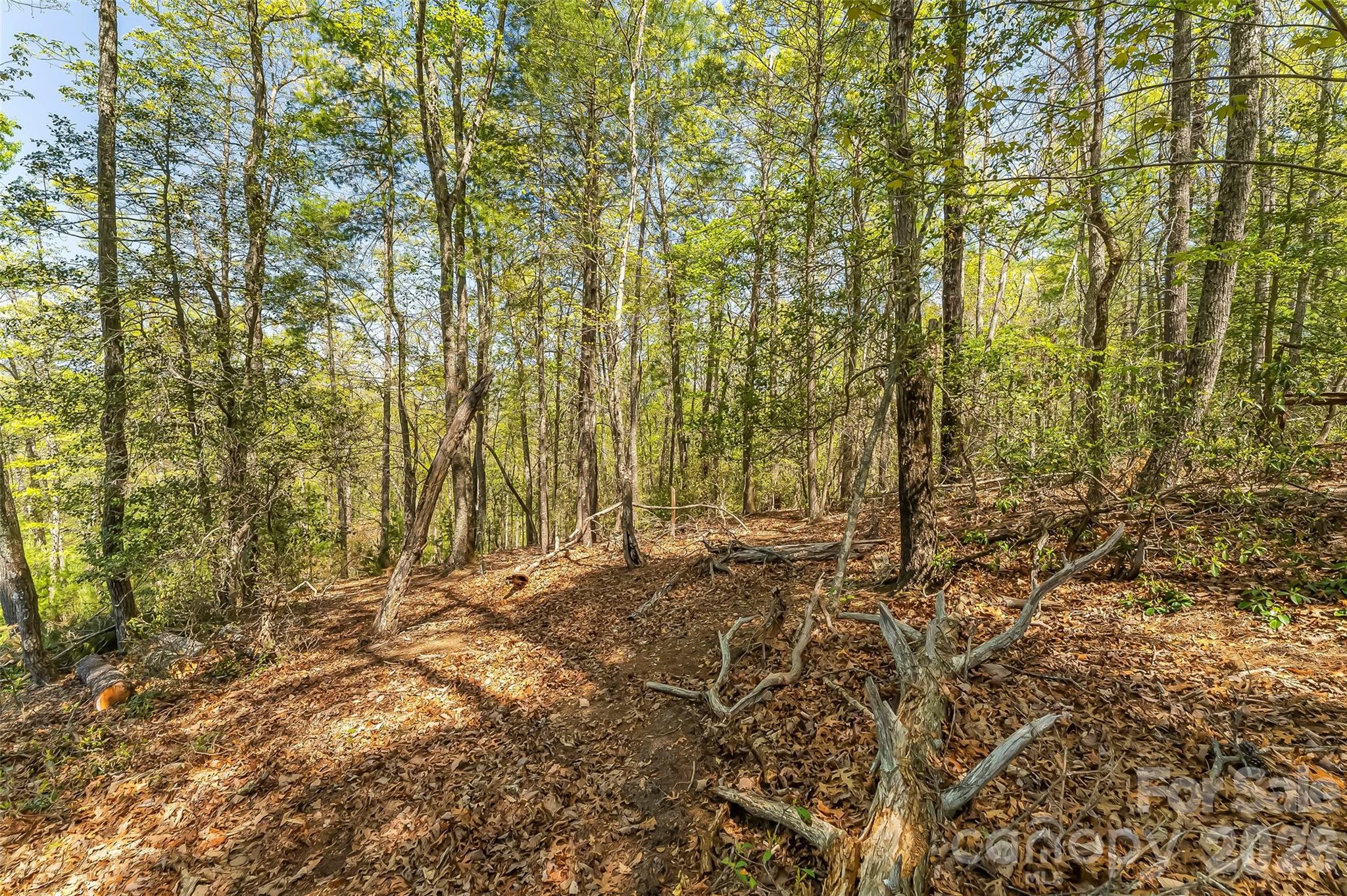 Lot at 1006 High Trail Drive, Nebo, photo 12 of 18