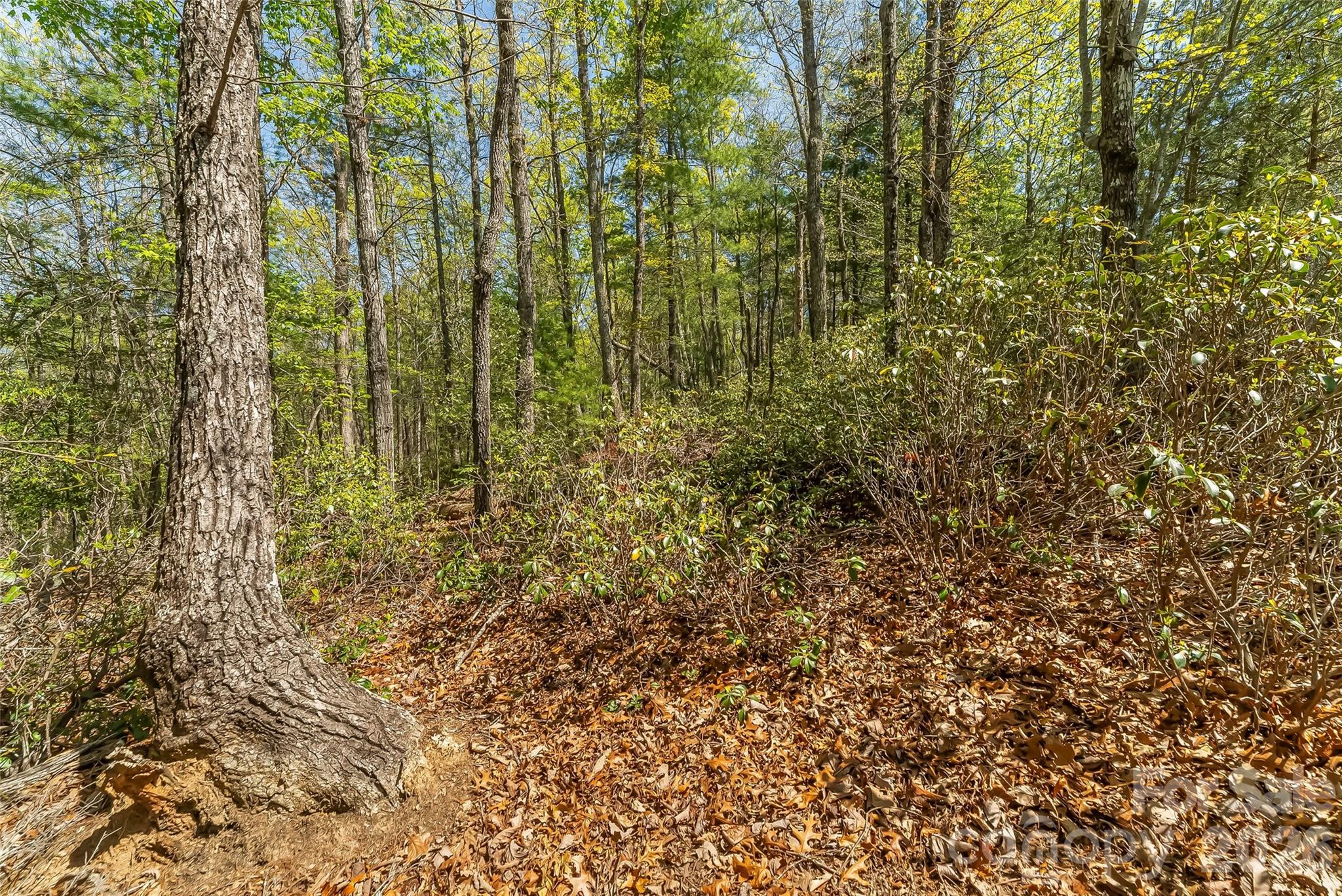 Lot at 1006 High Trail Drive, Nebo, photo 13 of 18