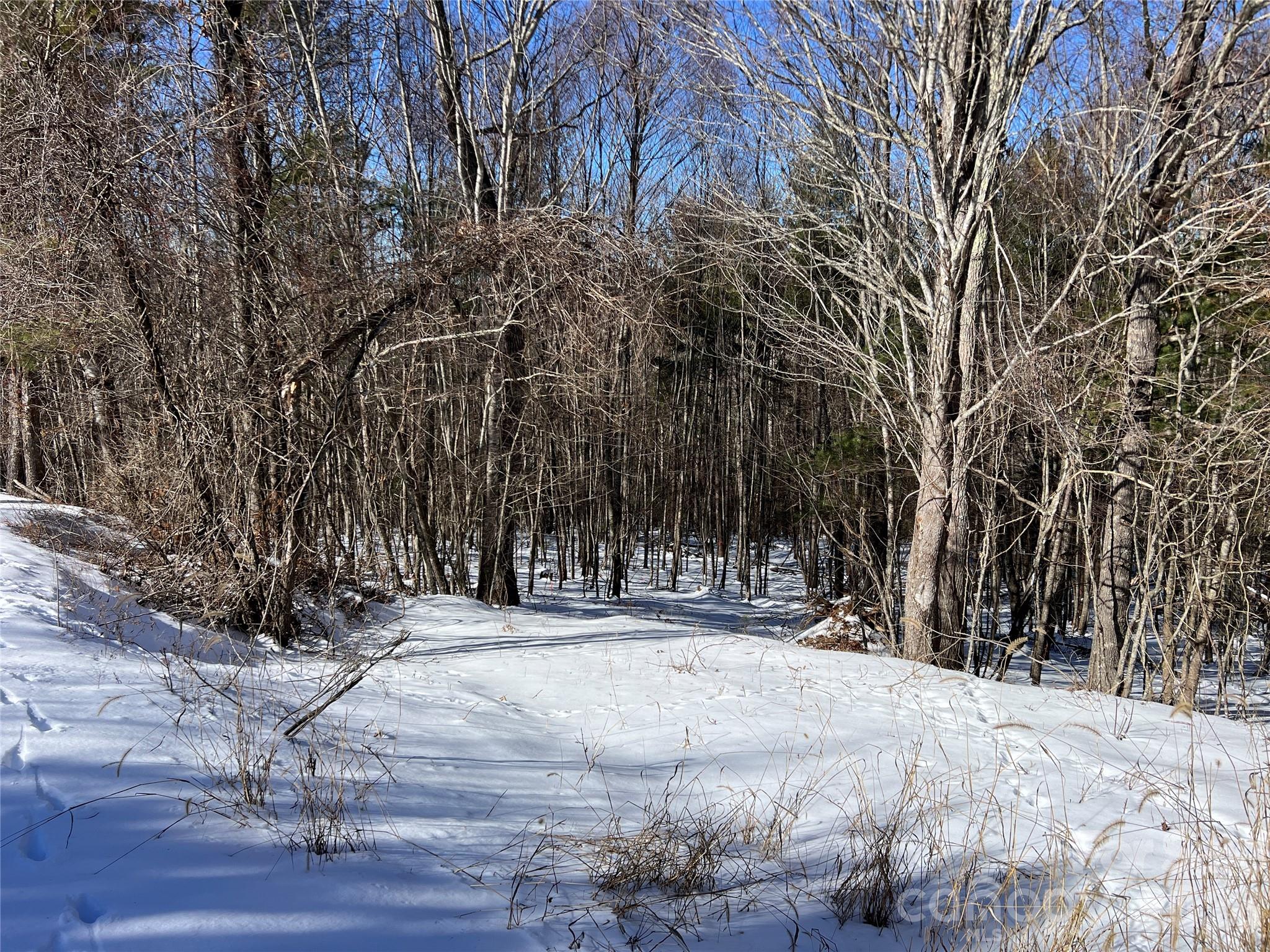 3-Bedroom Septic Approved Double Lot - TBD (Lots 13 & 14) Timberwilde Drive, Laurel Springs
