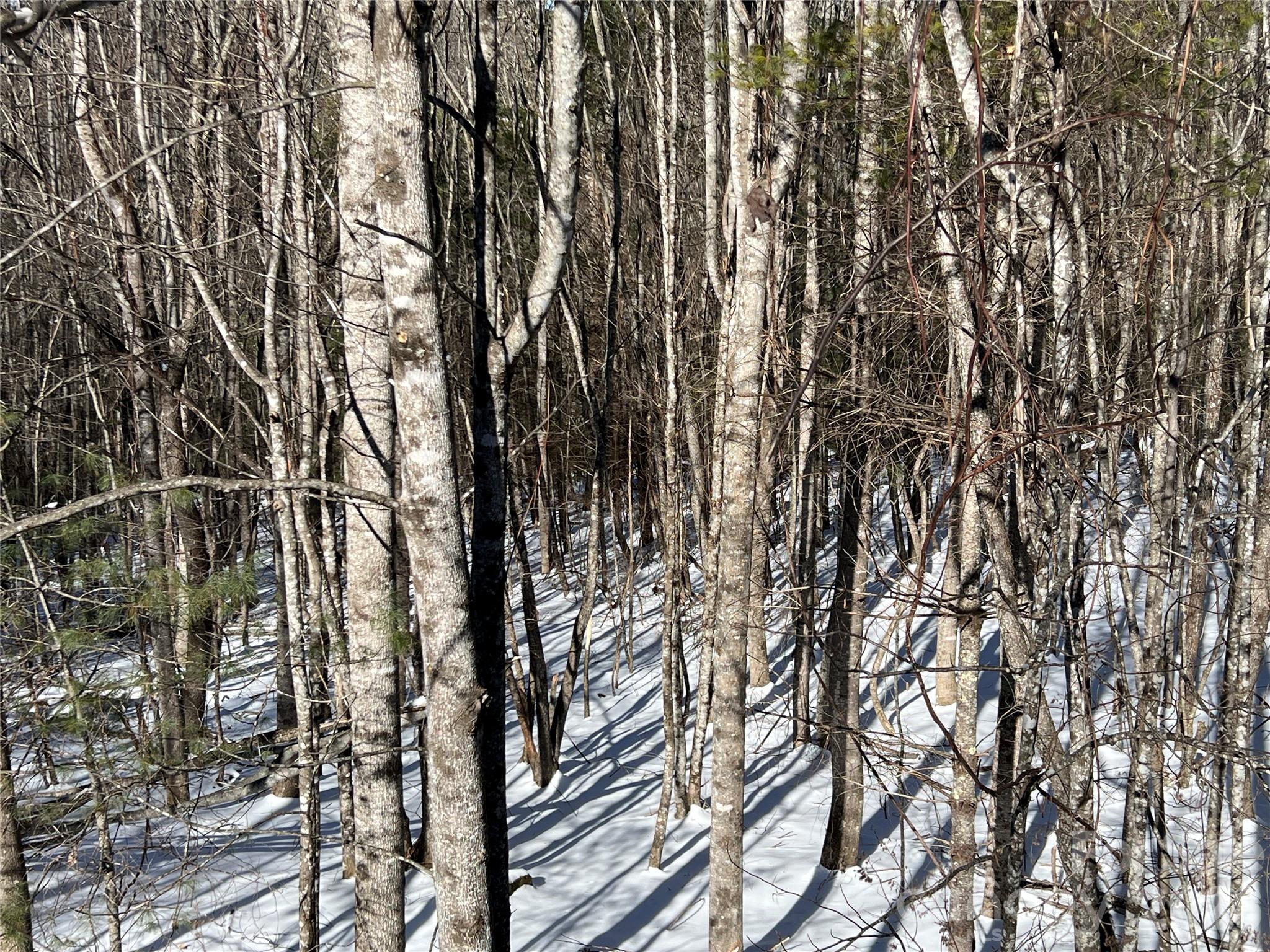 Lot at TBD (Lots 13 & 14) Timberwilde Drive, Laurel Springs, photo 4 of 21